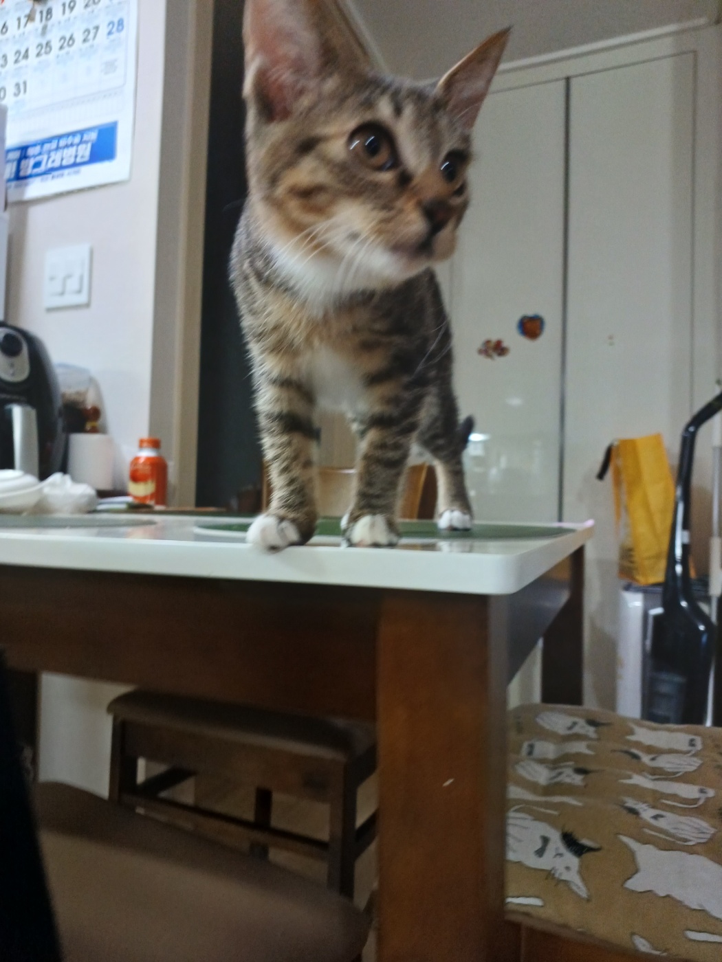 천방지축 승희온지 5일째