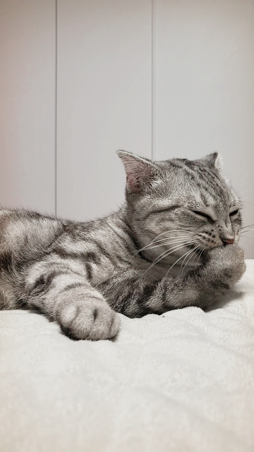 소호(아메) 한 달 이야기