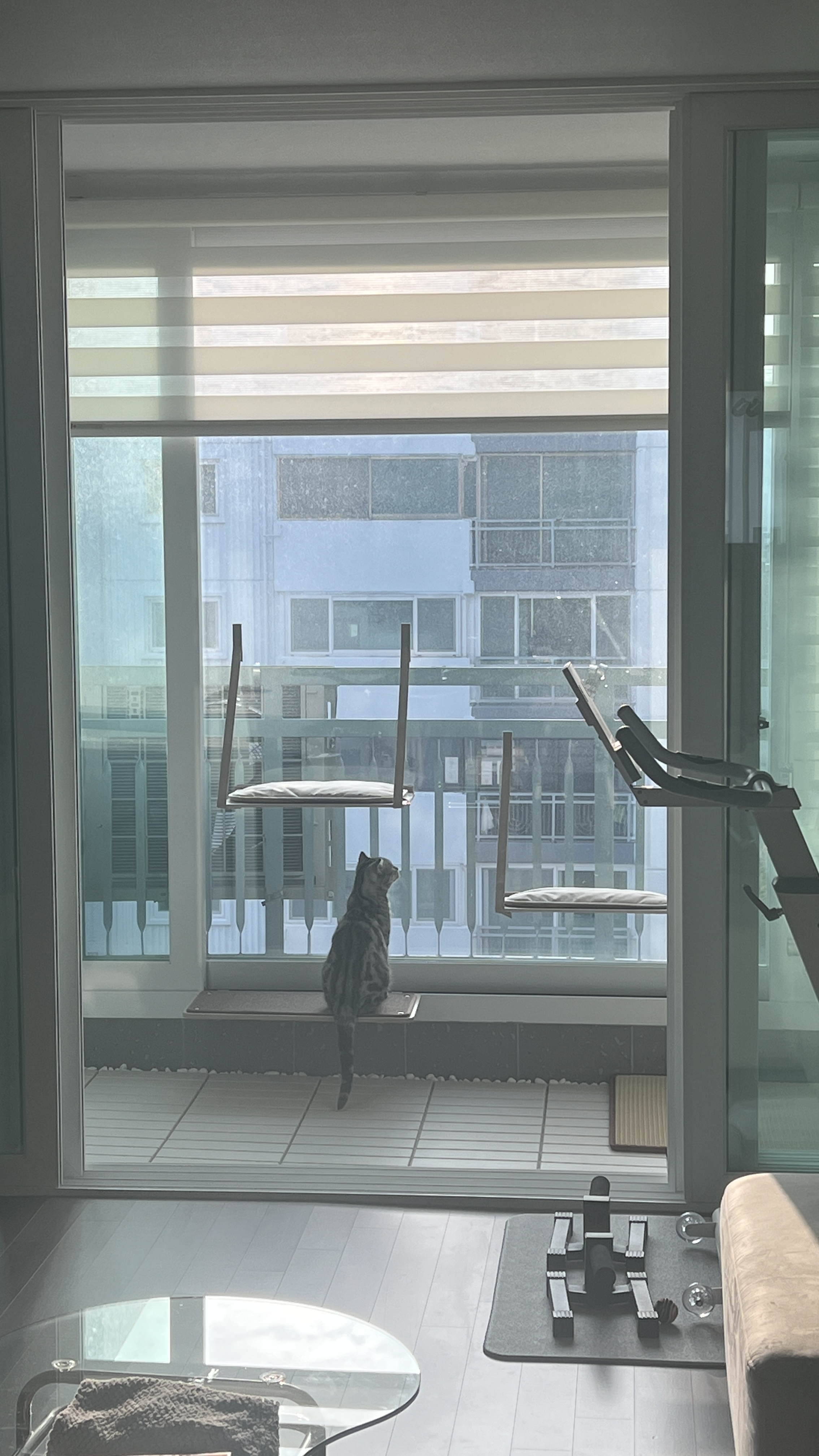 소호(아메) 한 달 이야기