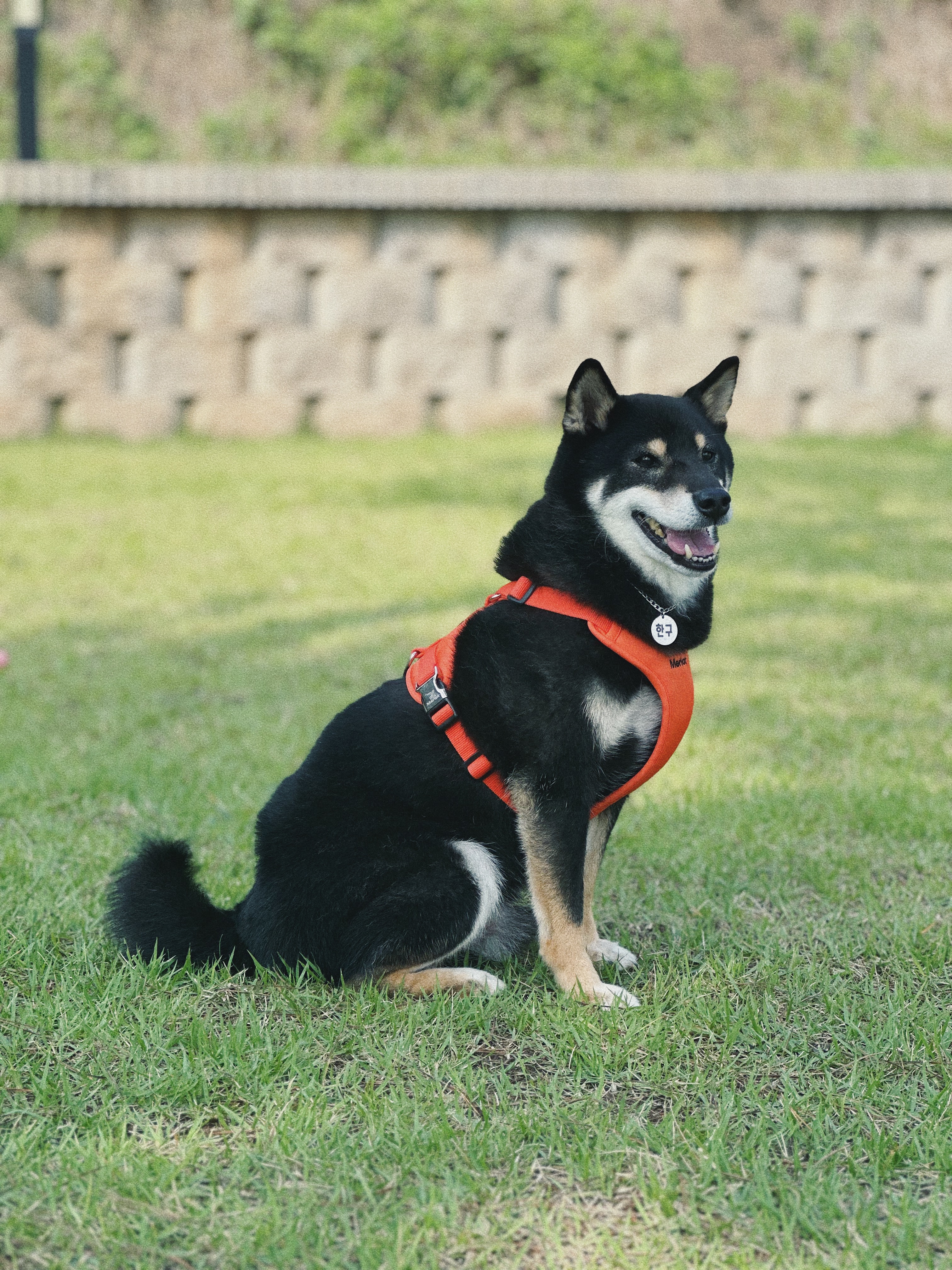 한구(마징가) 함께한지 3년