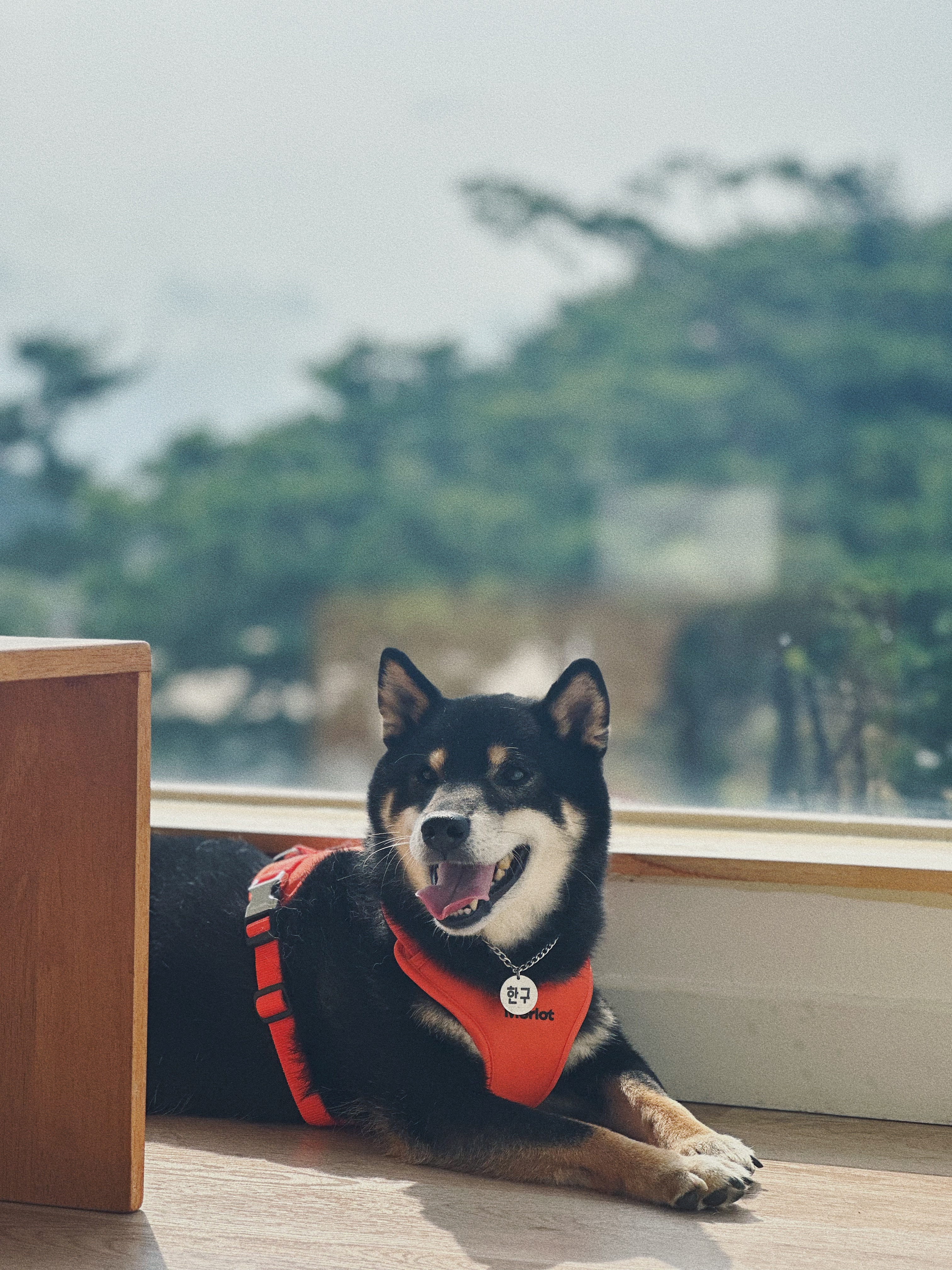 한구(마징가) 함께한지 3년