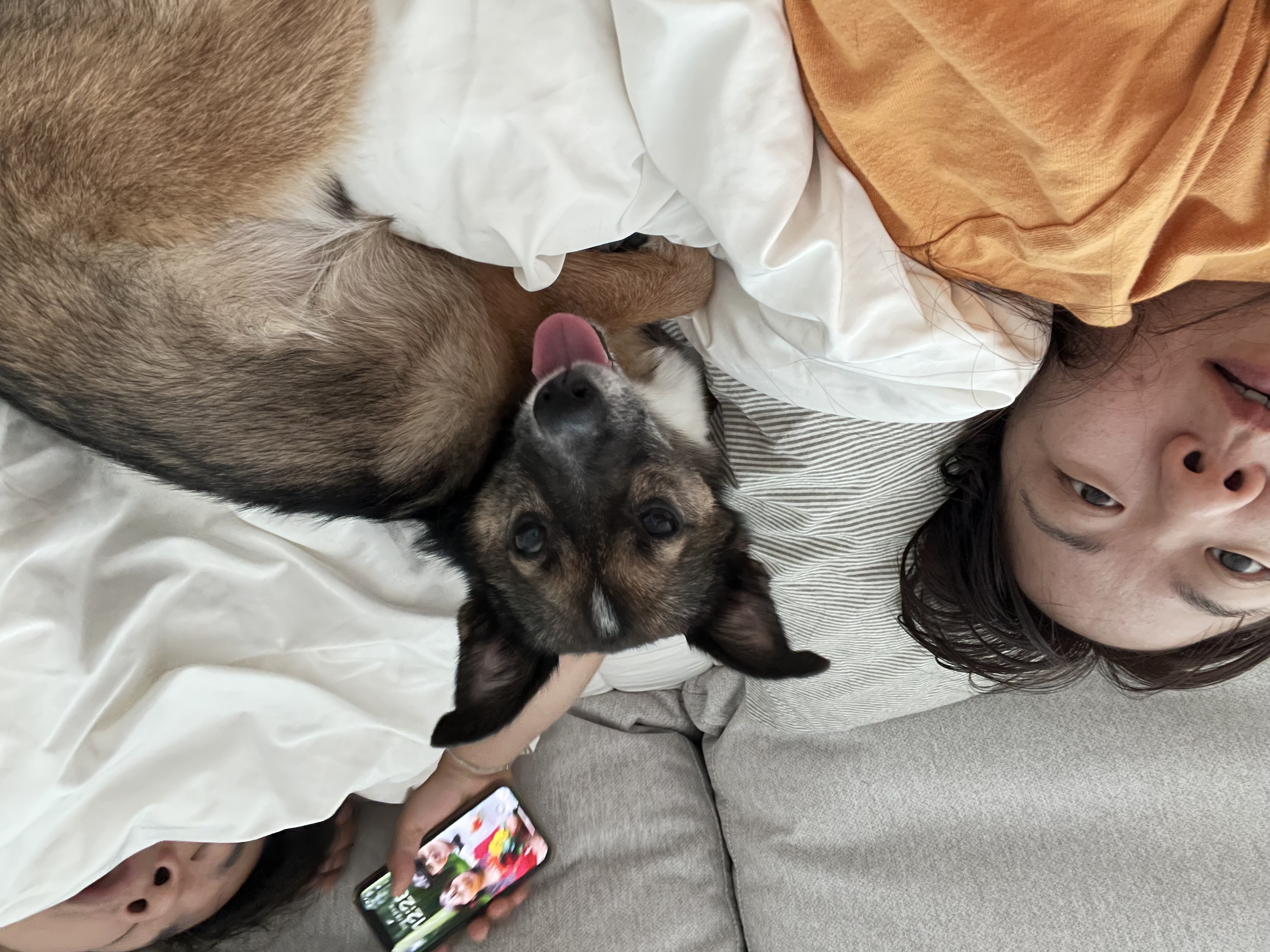 행복한 강아지 지로와 함께 (리복이)