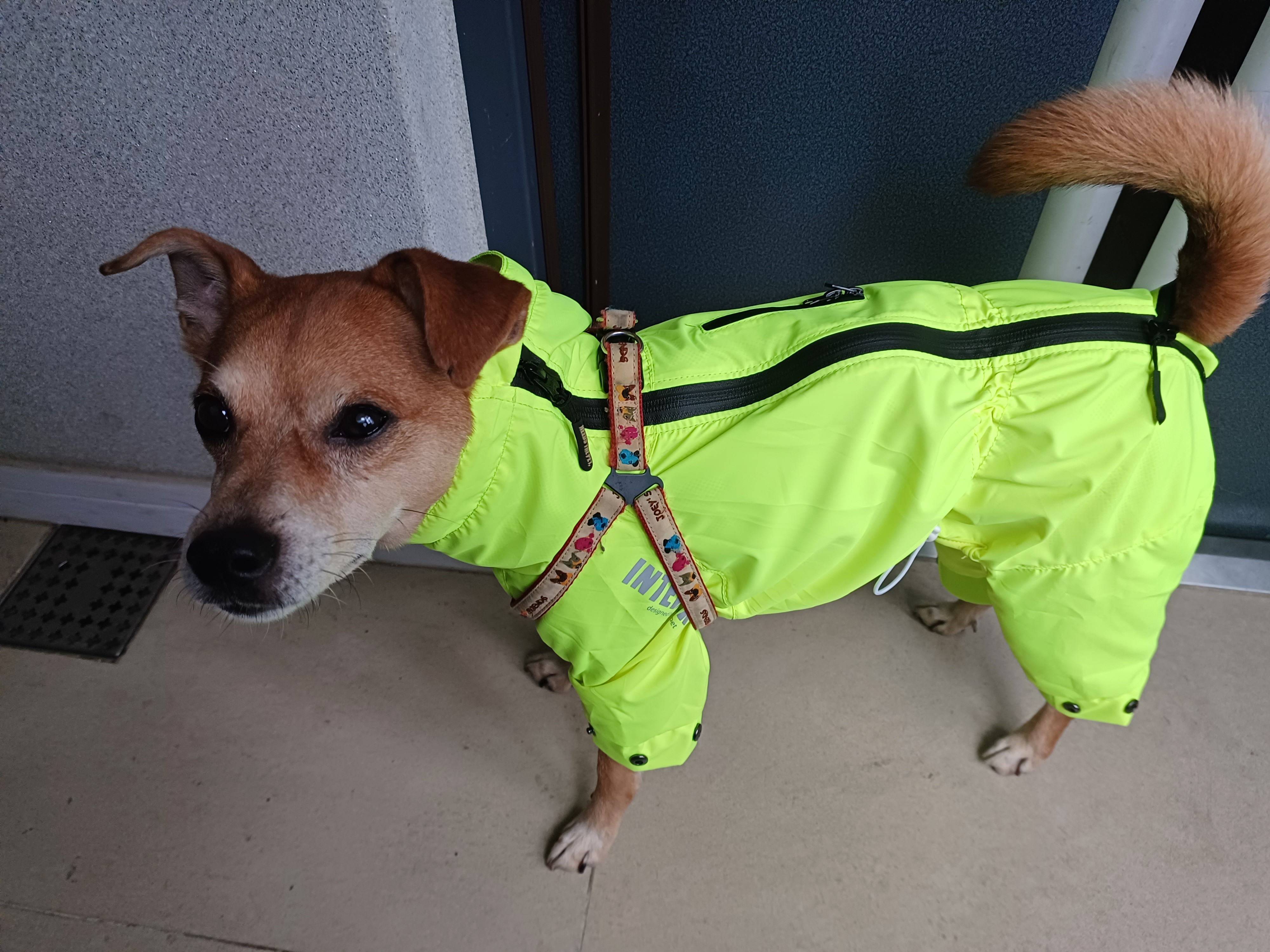 다온이 행복하게 잘 지내요~~