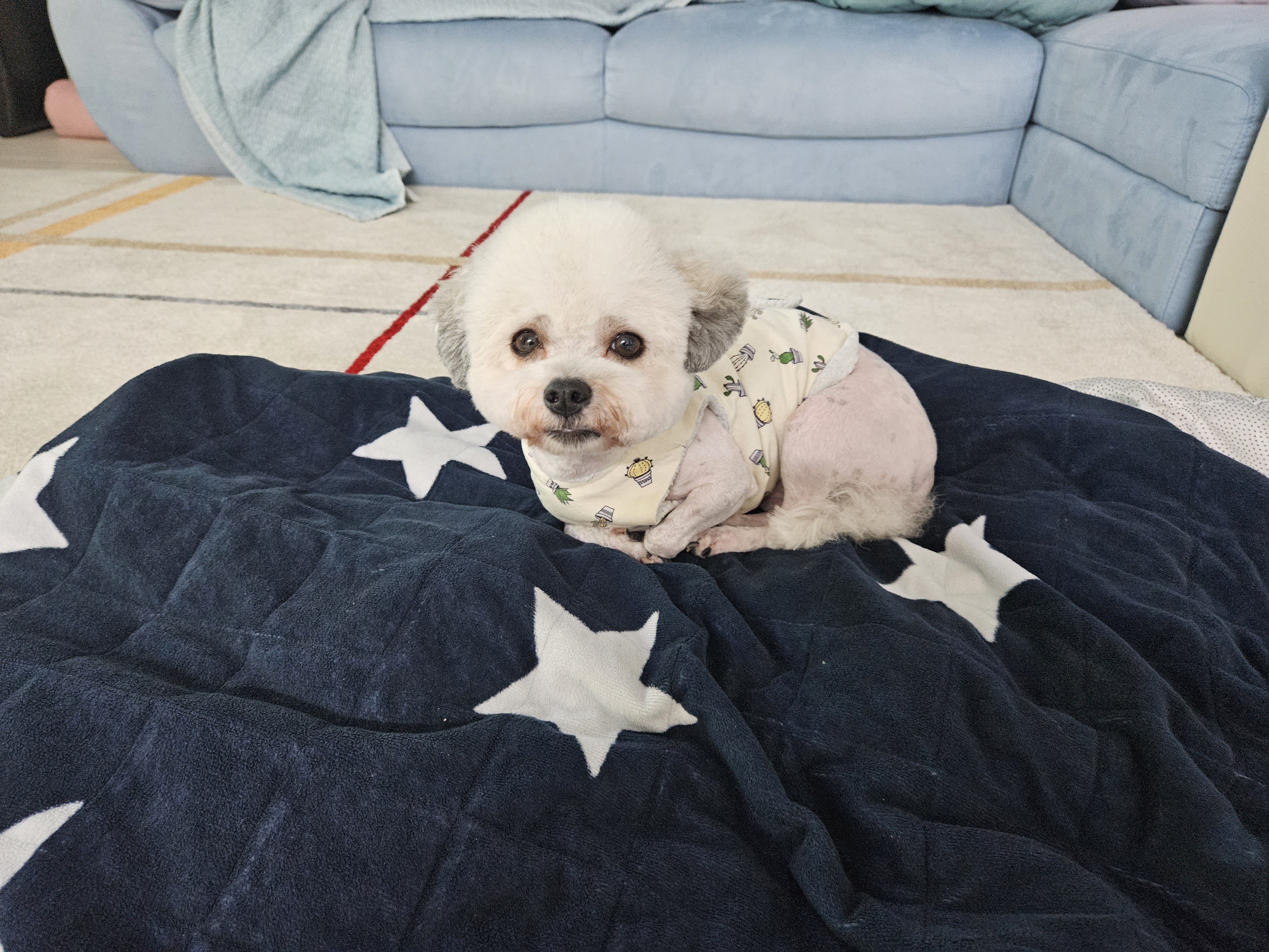 알록이(미소)3개월 소식