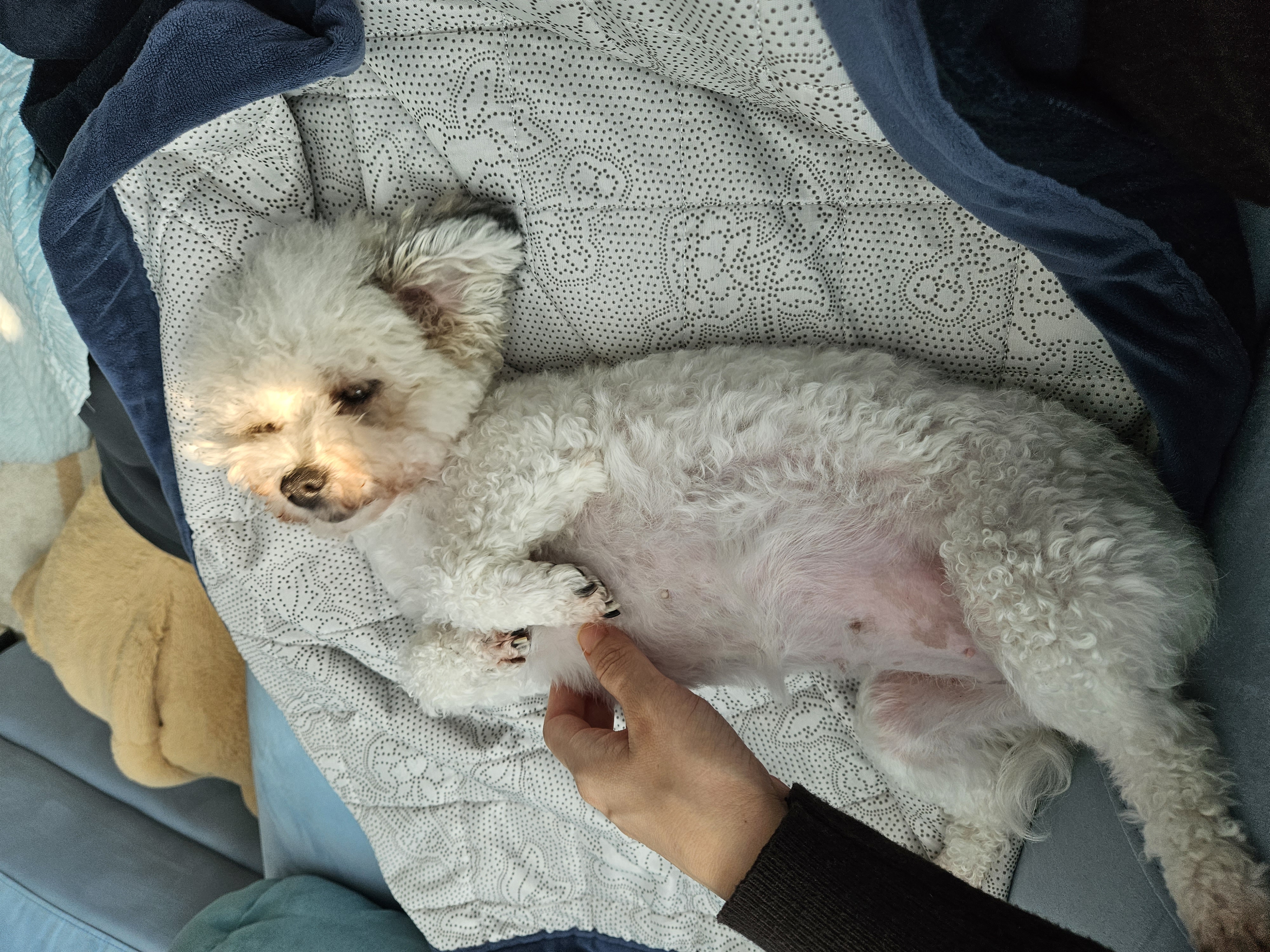 알록이(미소)3개월 소식