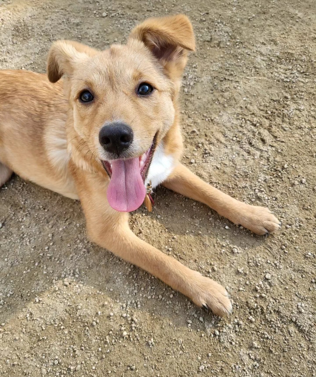 찌그(구 깜빛이) 한 달 후기