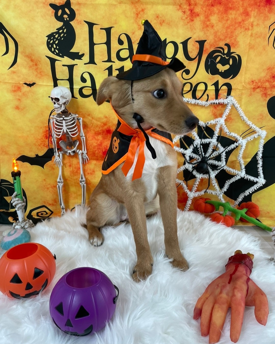 찌그(구 깜빛이) 한 달 후기