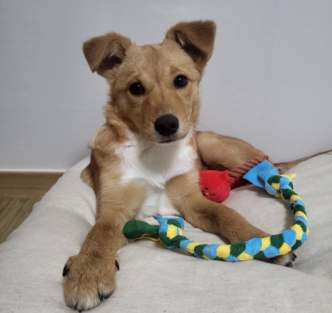 찌그(구 깜빛이) 한 달 후기