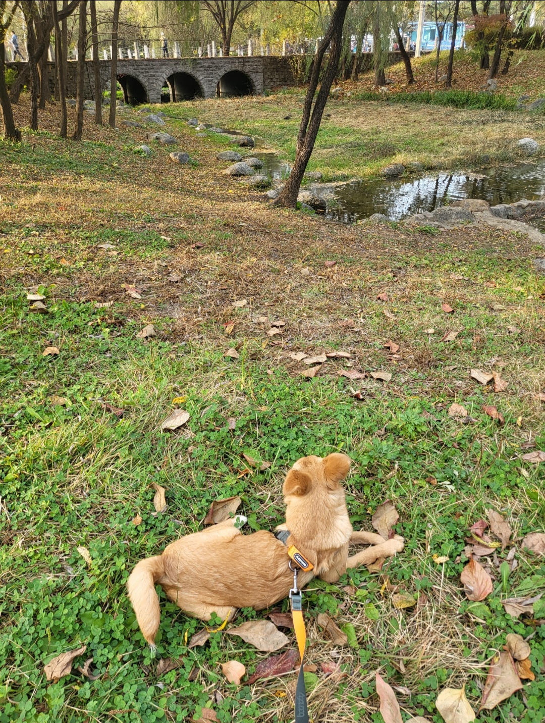 찌그(구 깜빛이) 한 달 후기