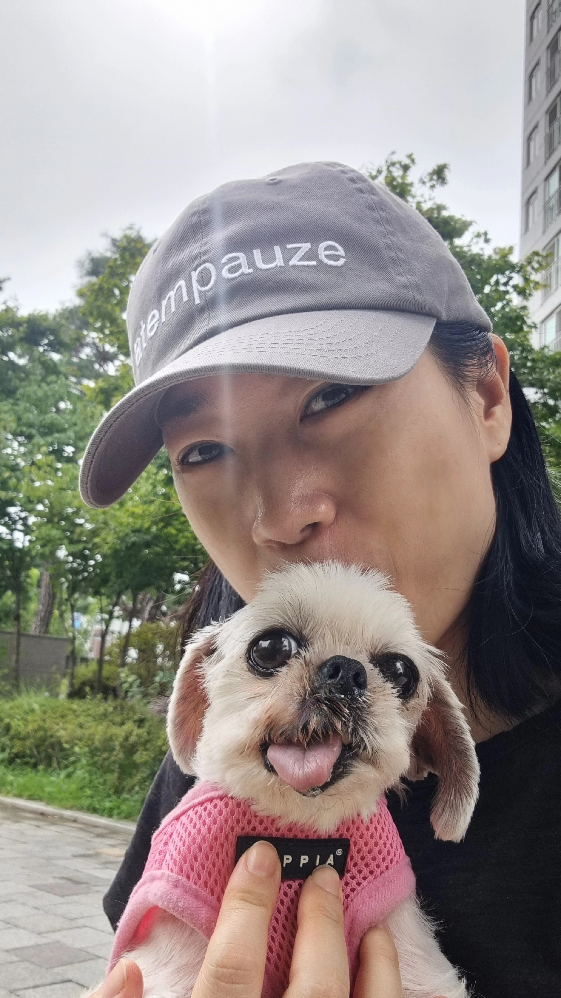 2016년에 가족으로 온 쪼맨이 '자두'의 근황