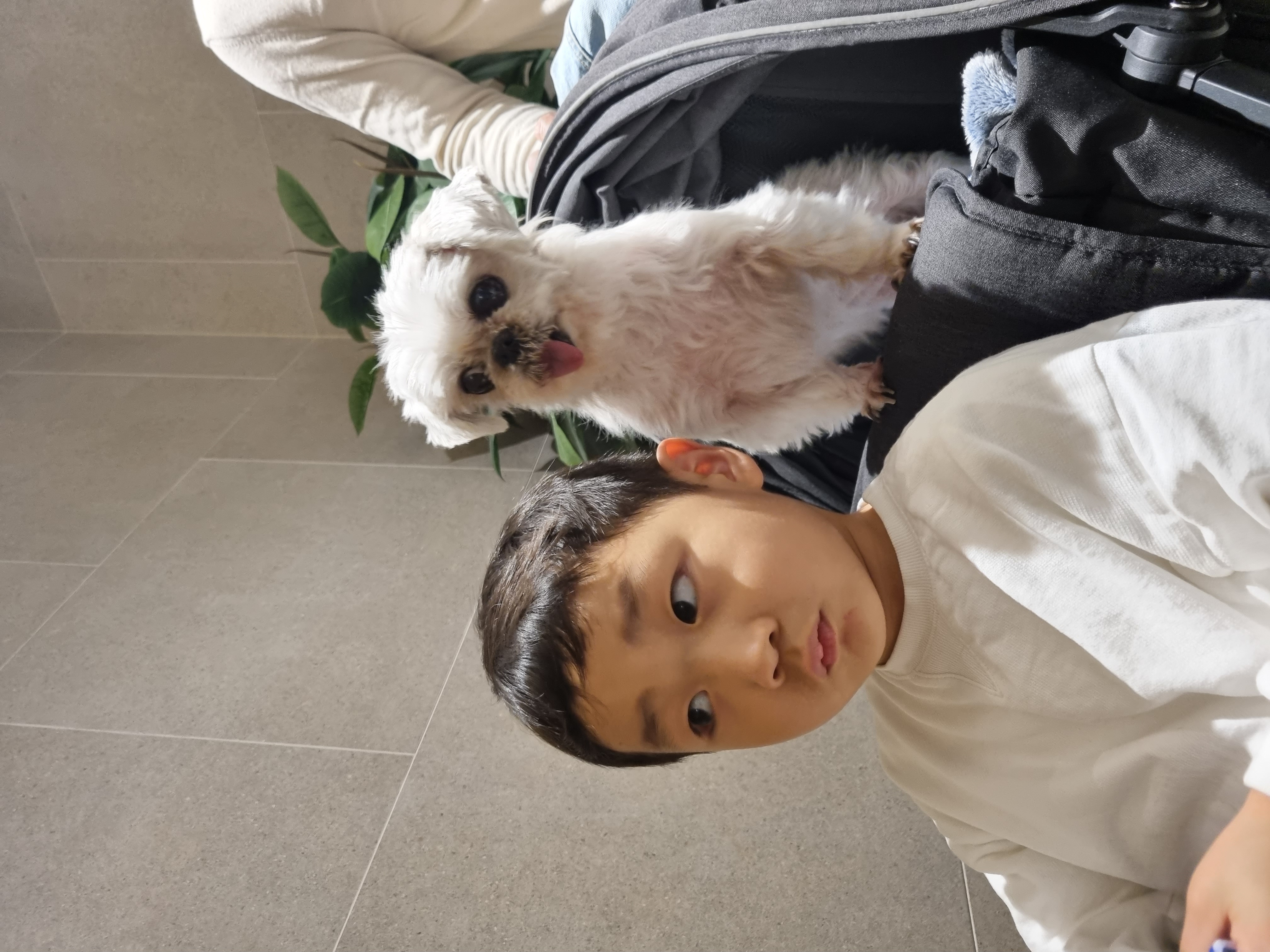 2016년에 가족으로 온 쪼맨이 '자두'의 근황