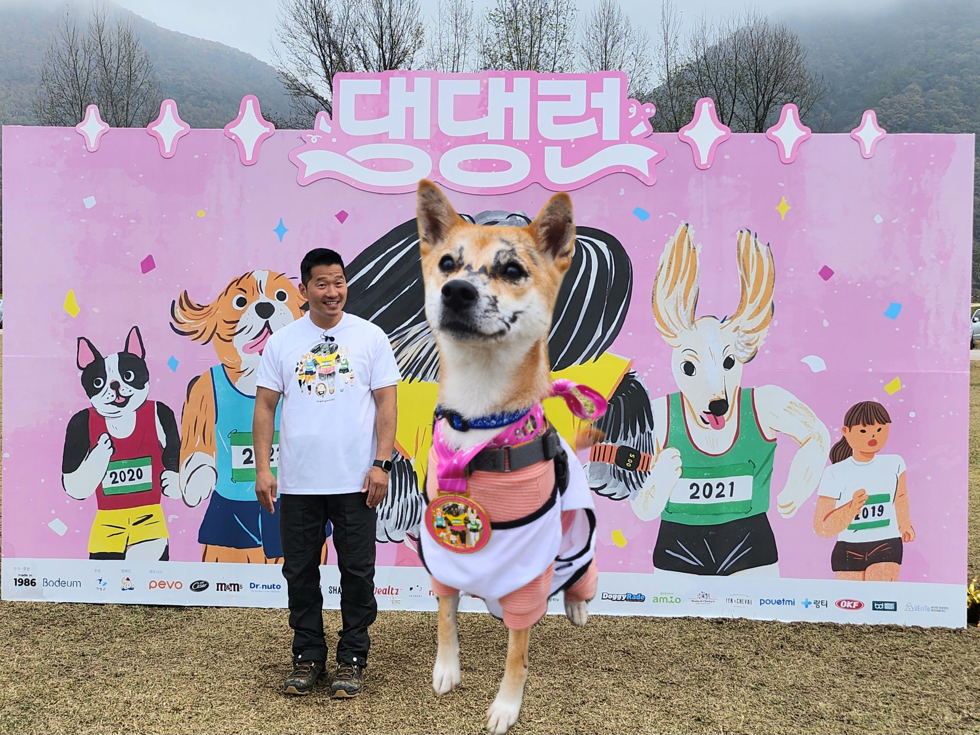 이솔이네 임시보호 세달차 후기!