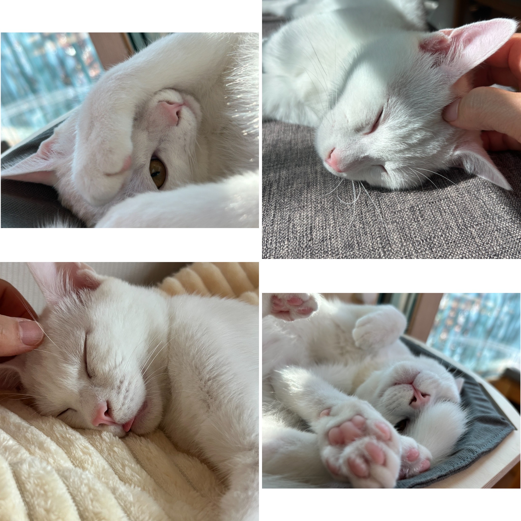 다윈이 백일 D-7(3개월 후기)