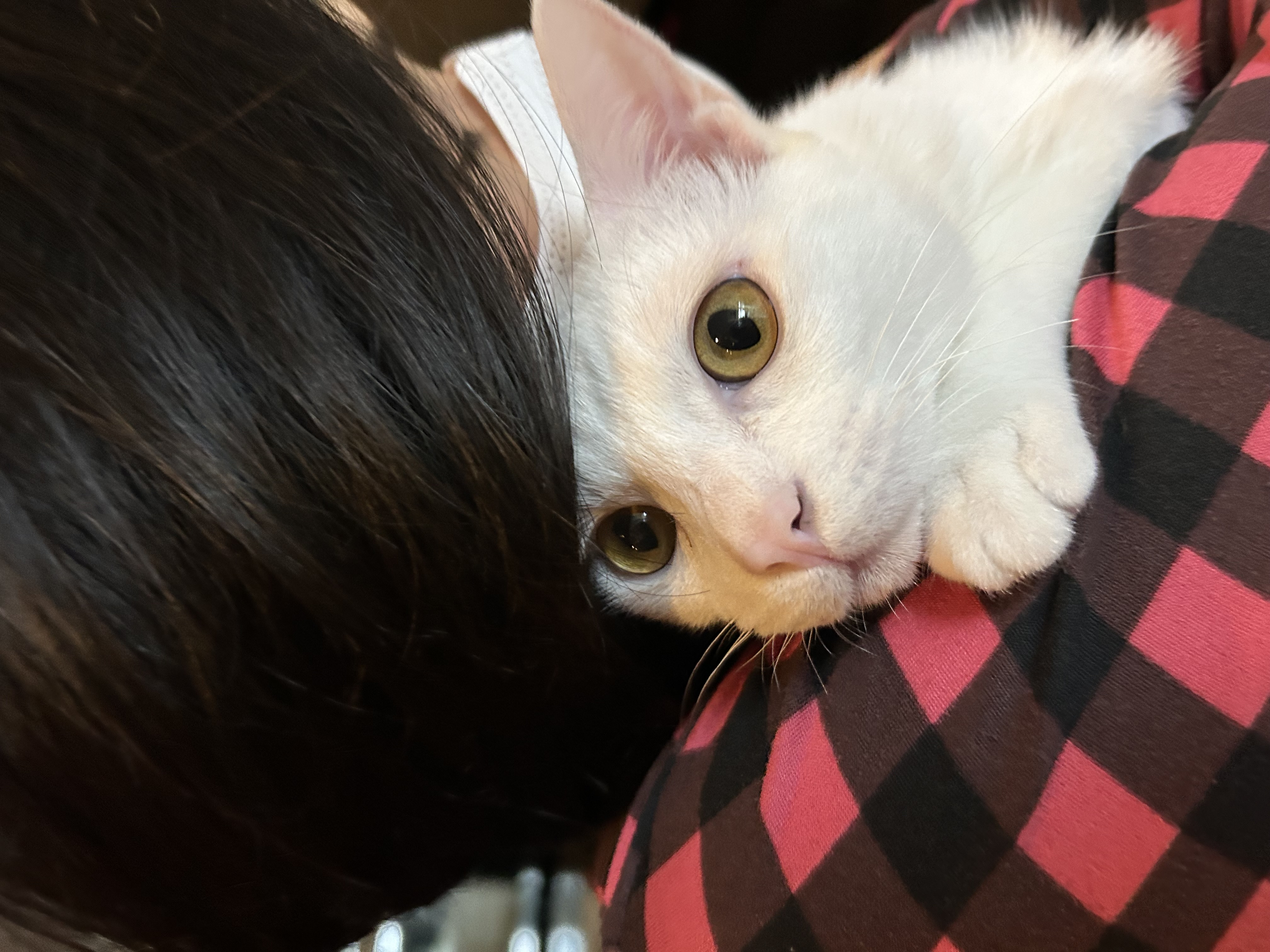 다윈이 백일 D-7(3개월 후기)