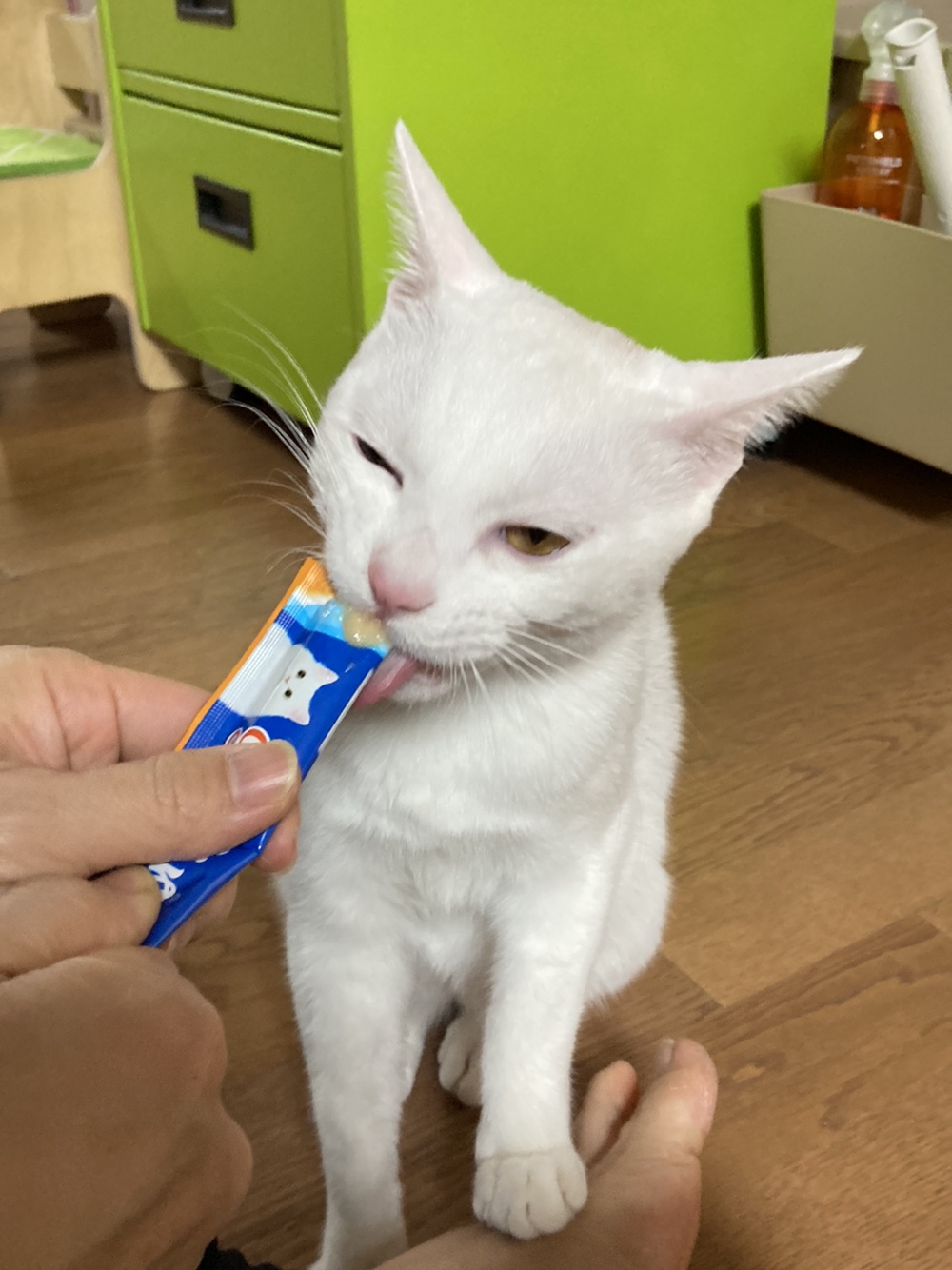 다윈이 백일 D-7(3개월 후기)