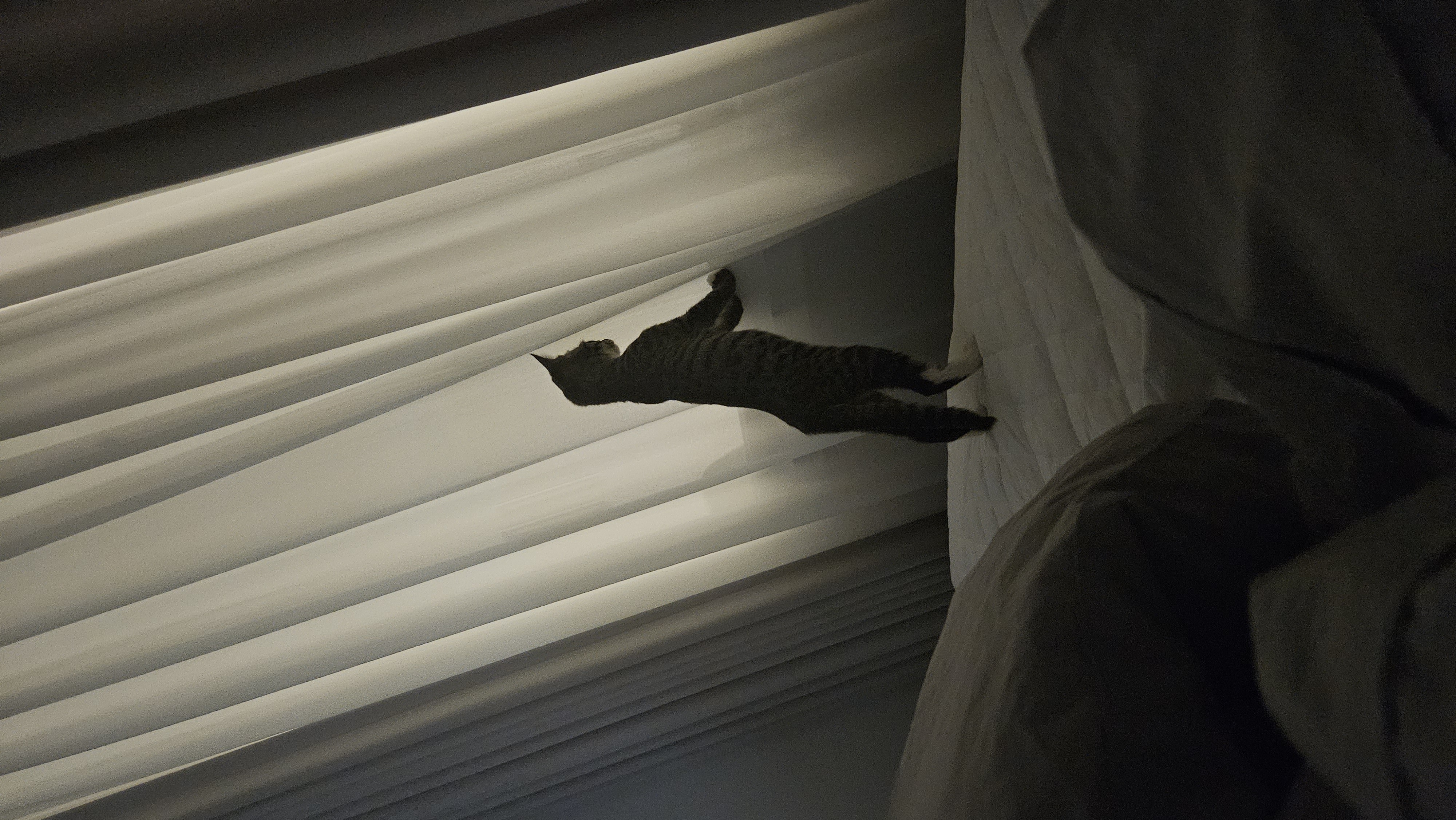 나린이 (현 다미)의 1주일 적응기