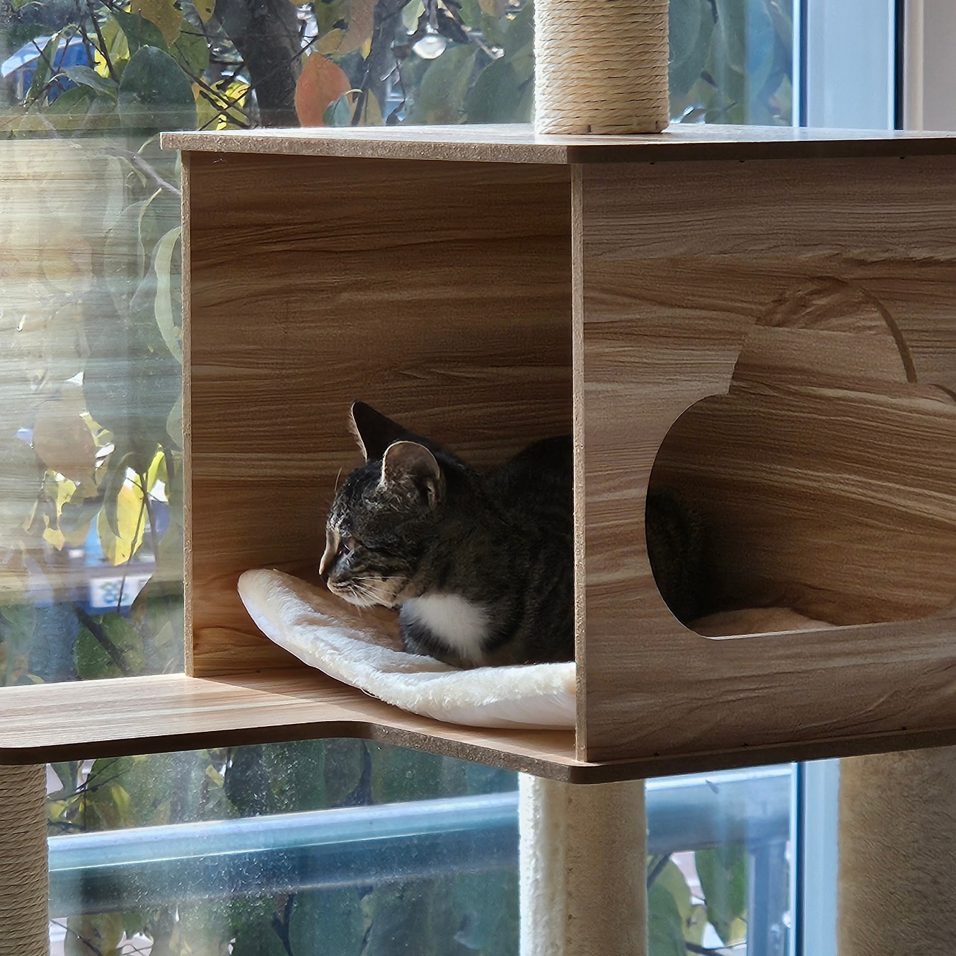 나린이 (현 다미)의 1주일 적응기