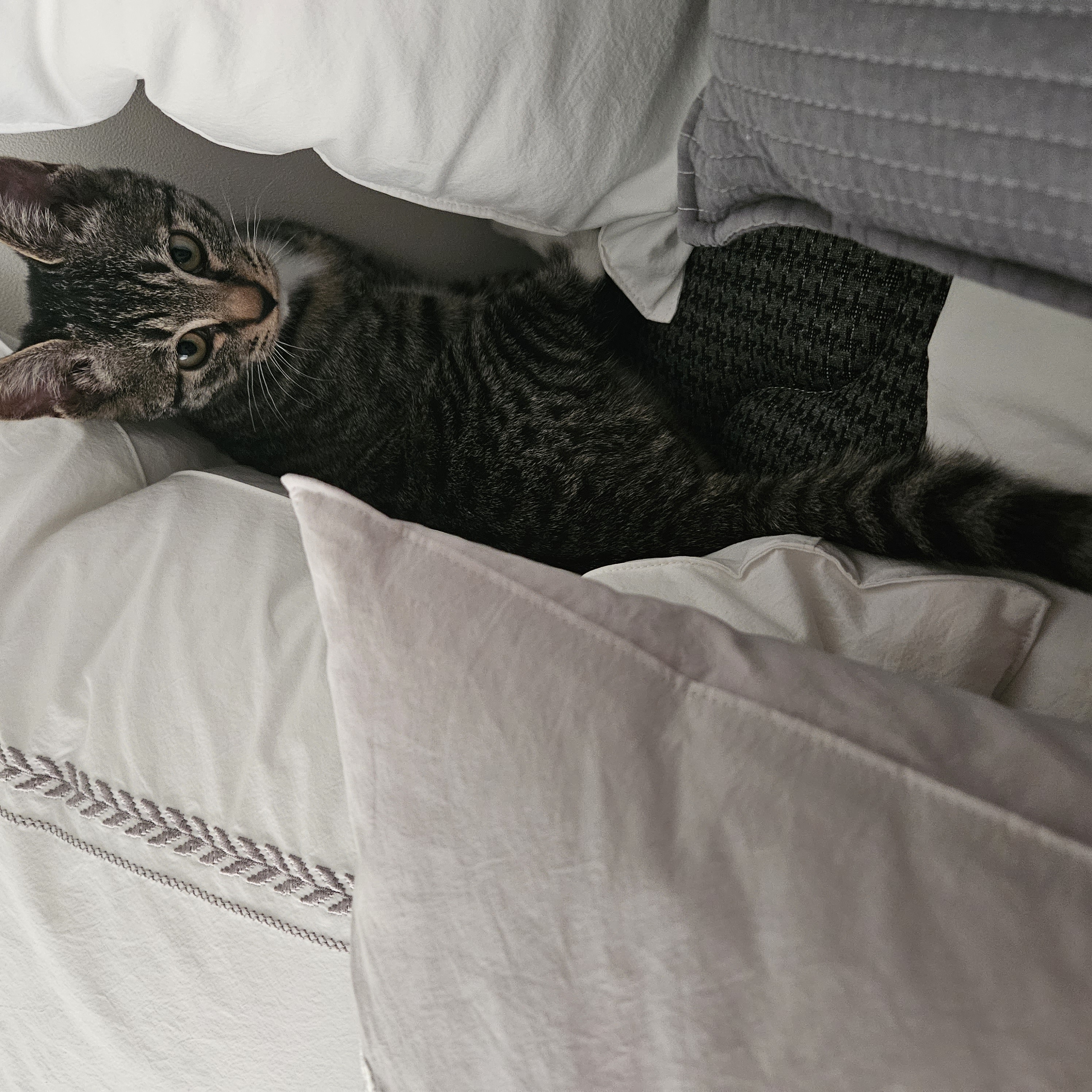 나린이 (현 다미)의 1주일 적응기