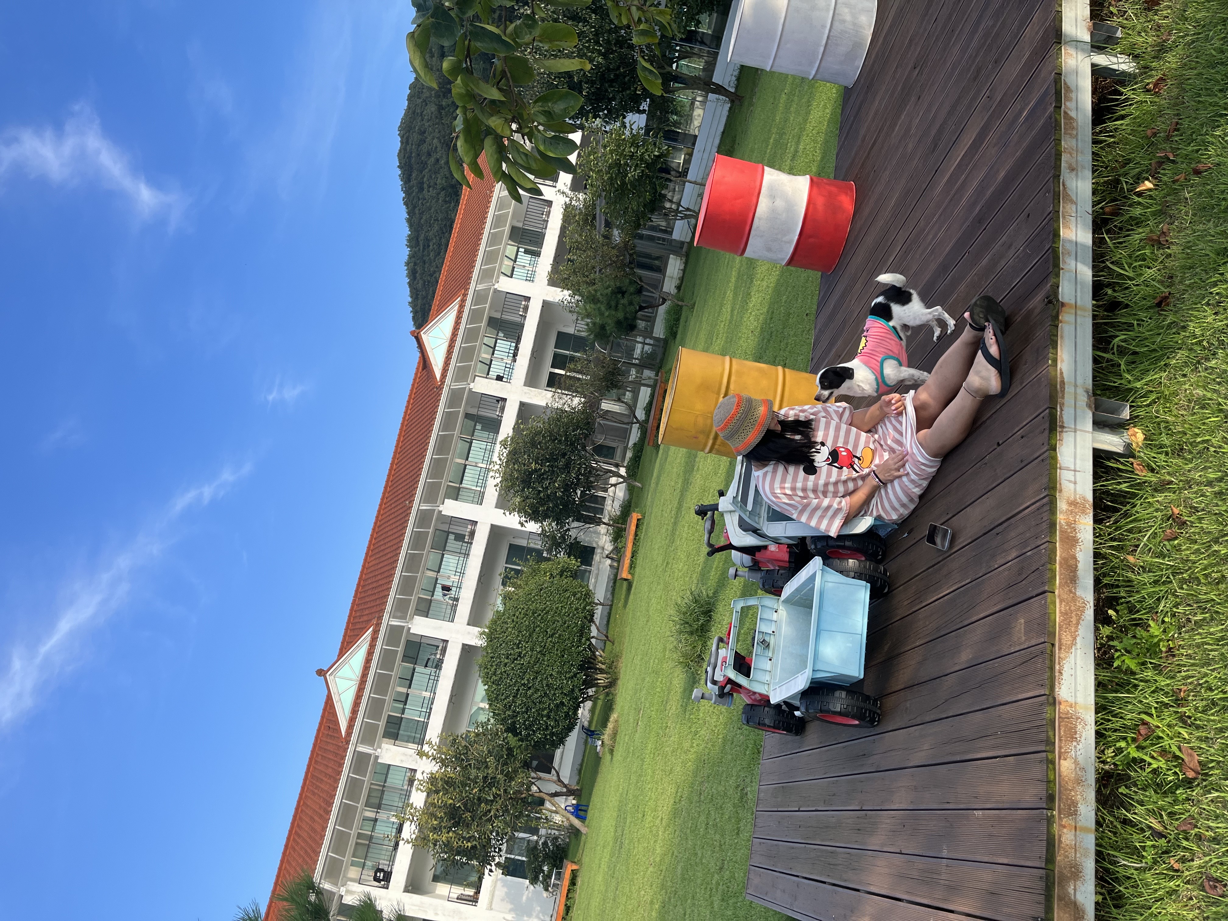 아키(구 하얀이)가 가족이 된지 2년이 되었어요