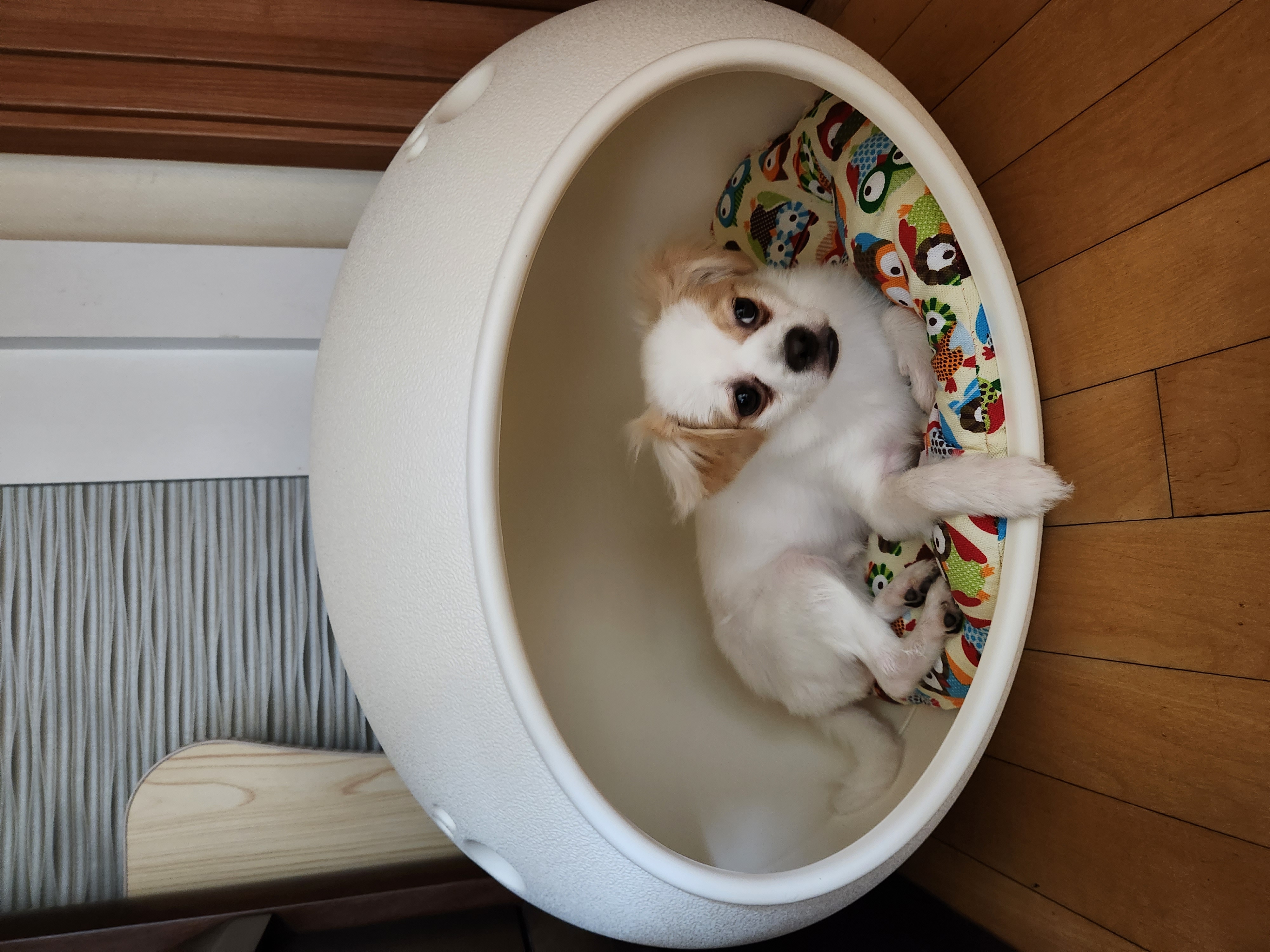 투투(쭌이) 잘지내고있어요