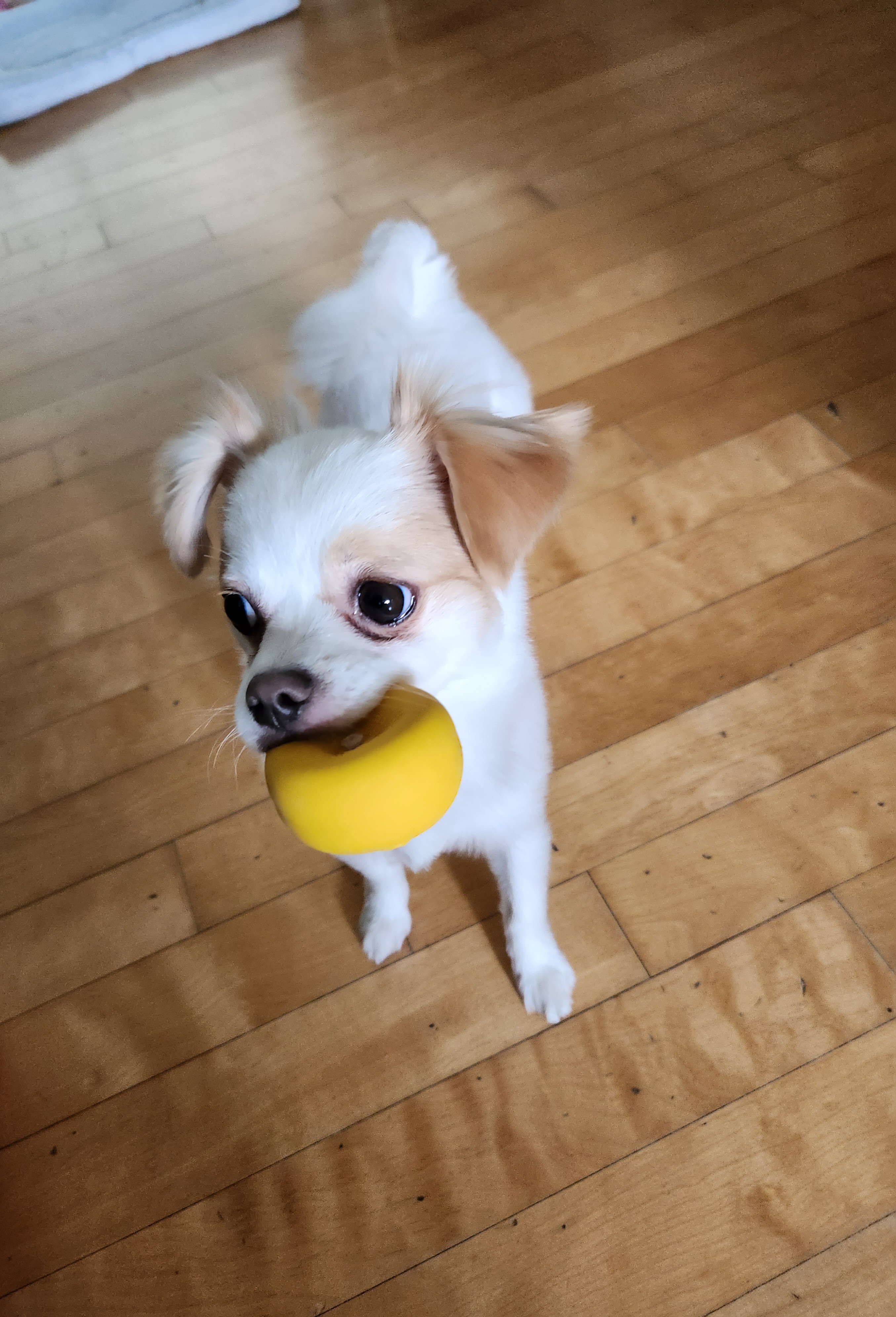 투투(쭌이) 잘지내고있어요