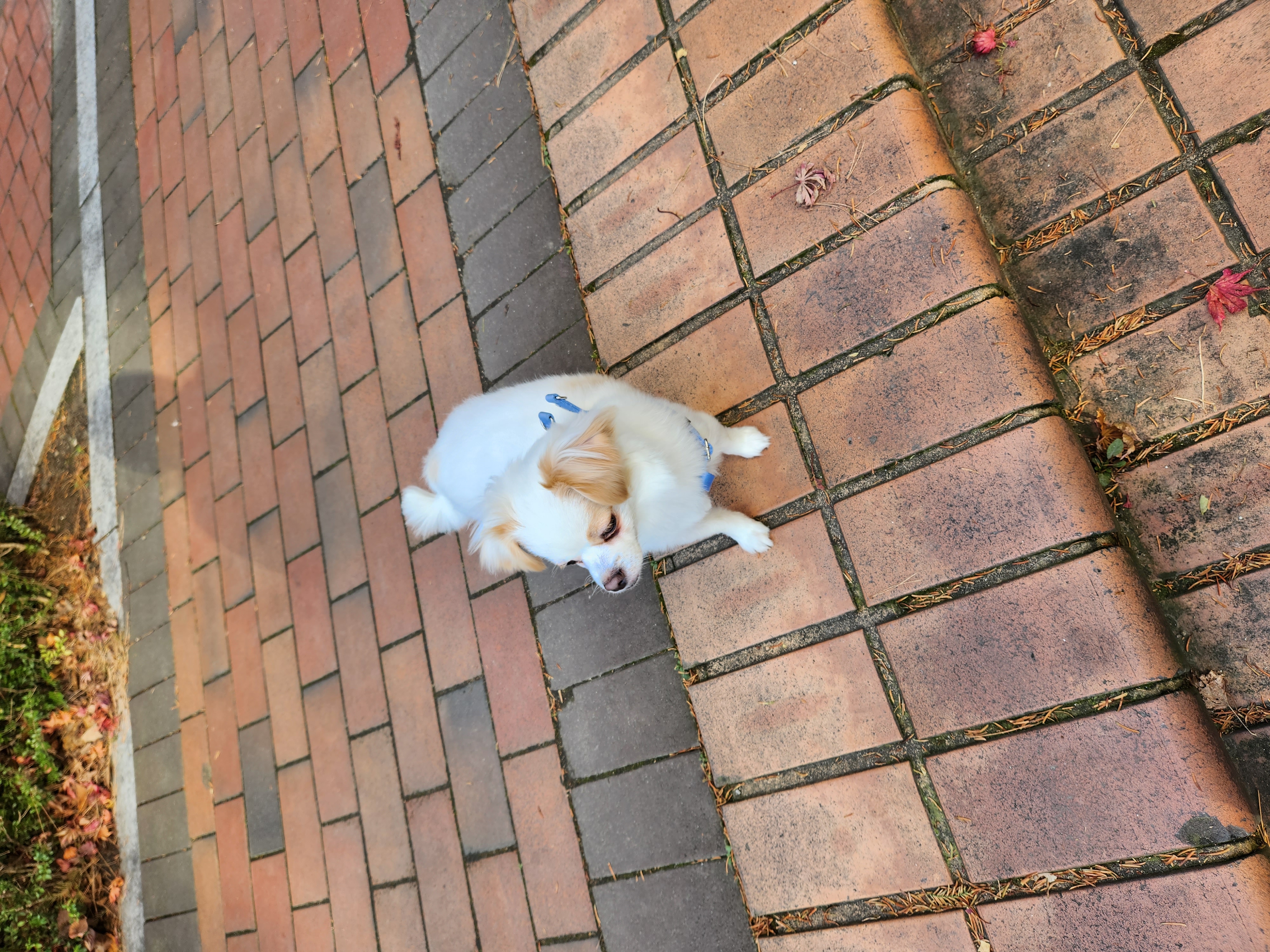 투투(쭌이) 잘지내고있어요