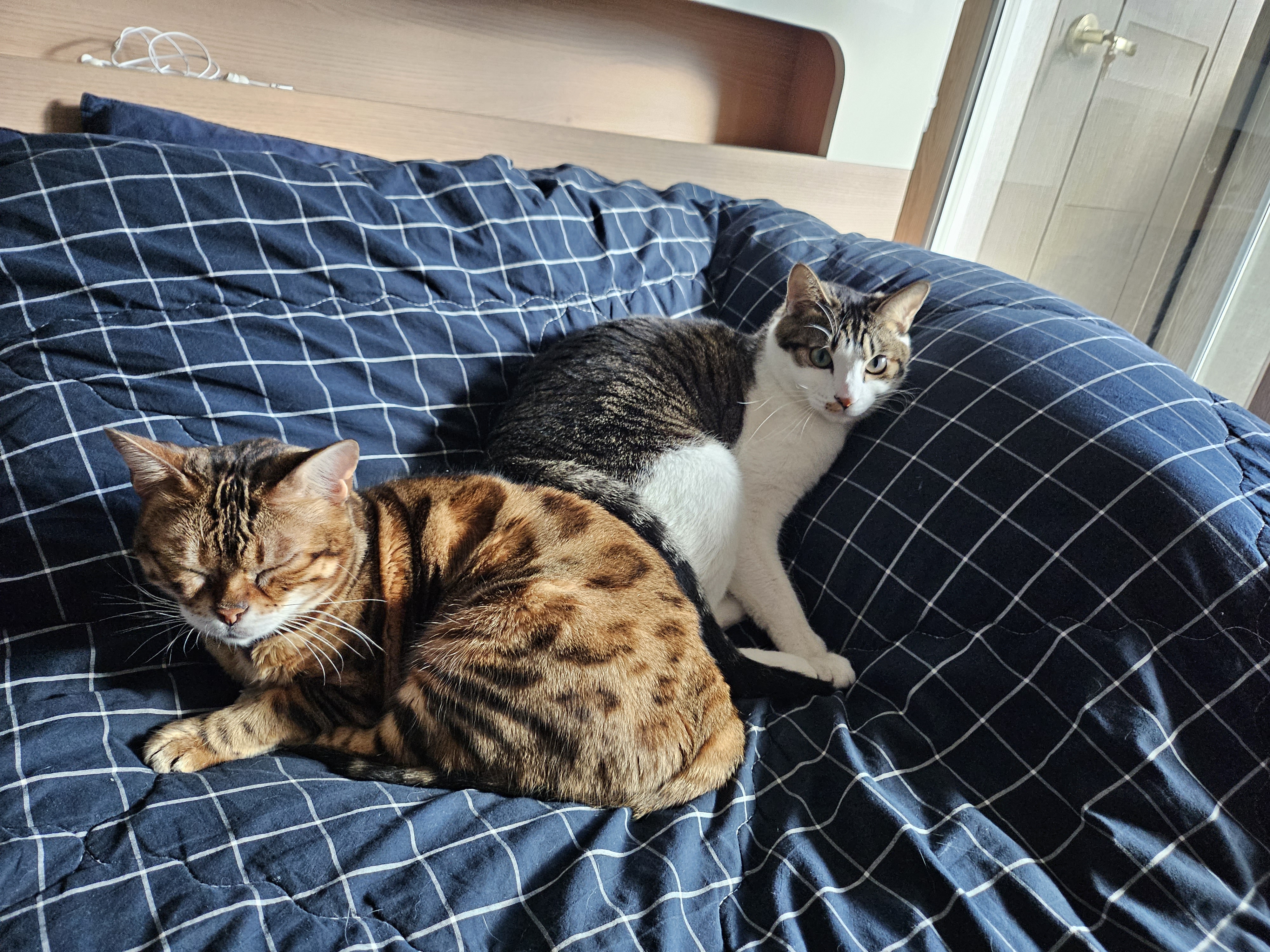 탄이(해성이)와 1년