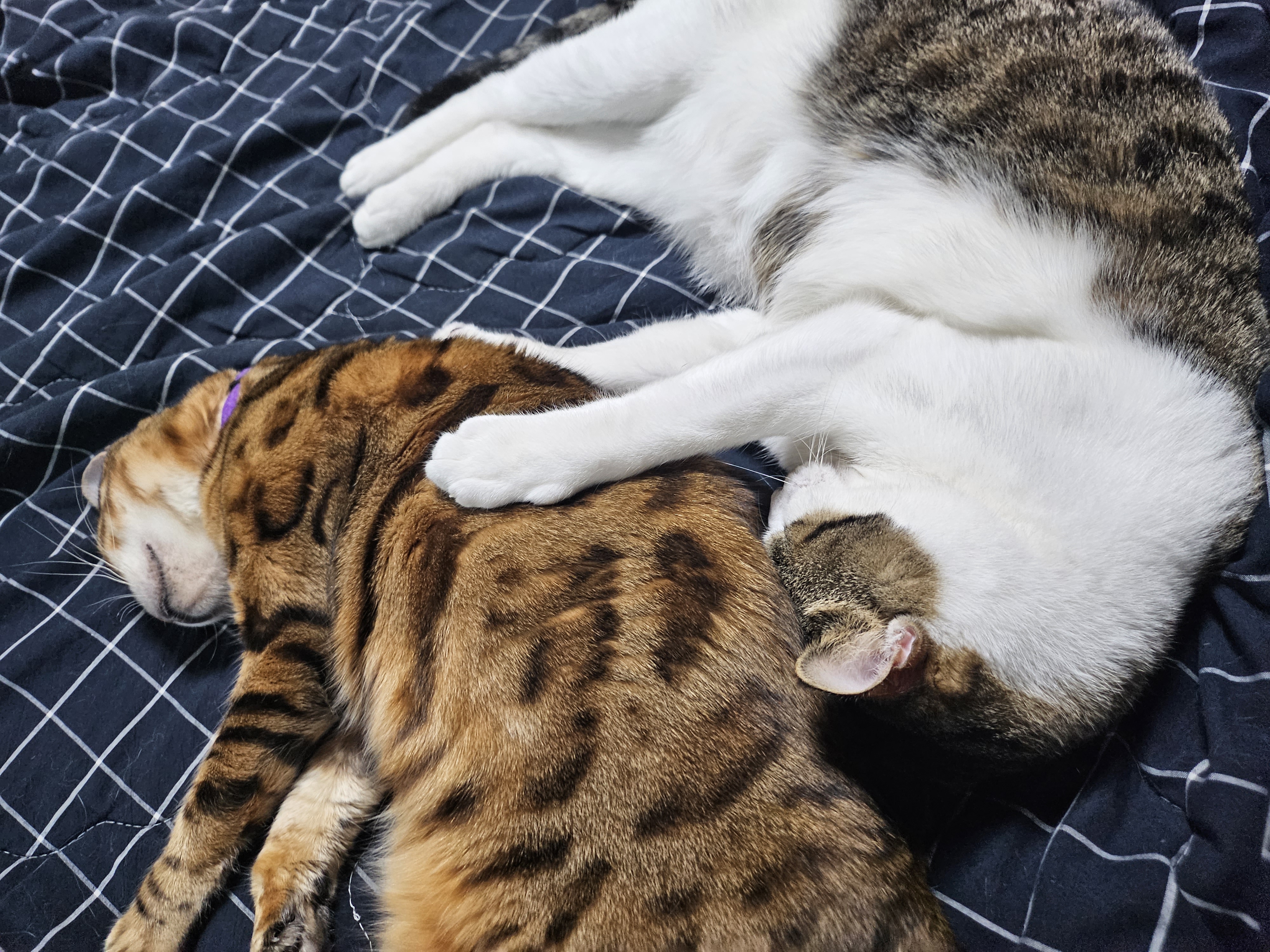 탄이(해성이)와 1년