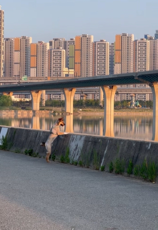 (구,강식) 테오의 일년 가족일기