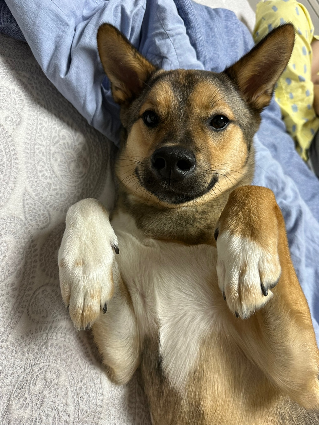 (구,강식) 테오의 일년 가족일기