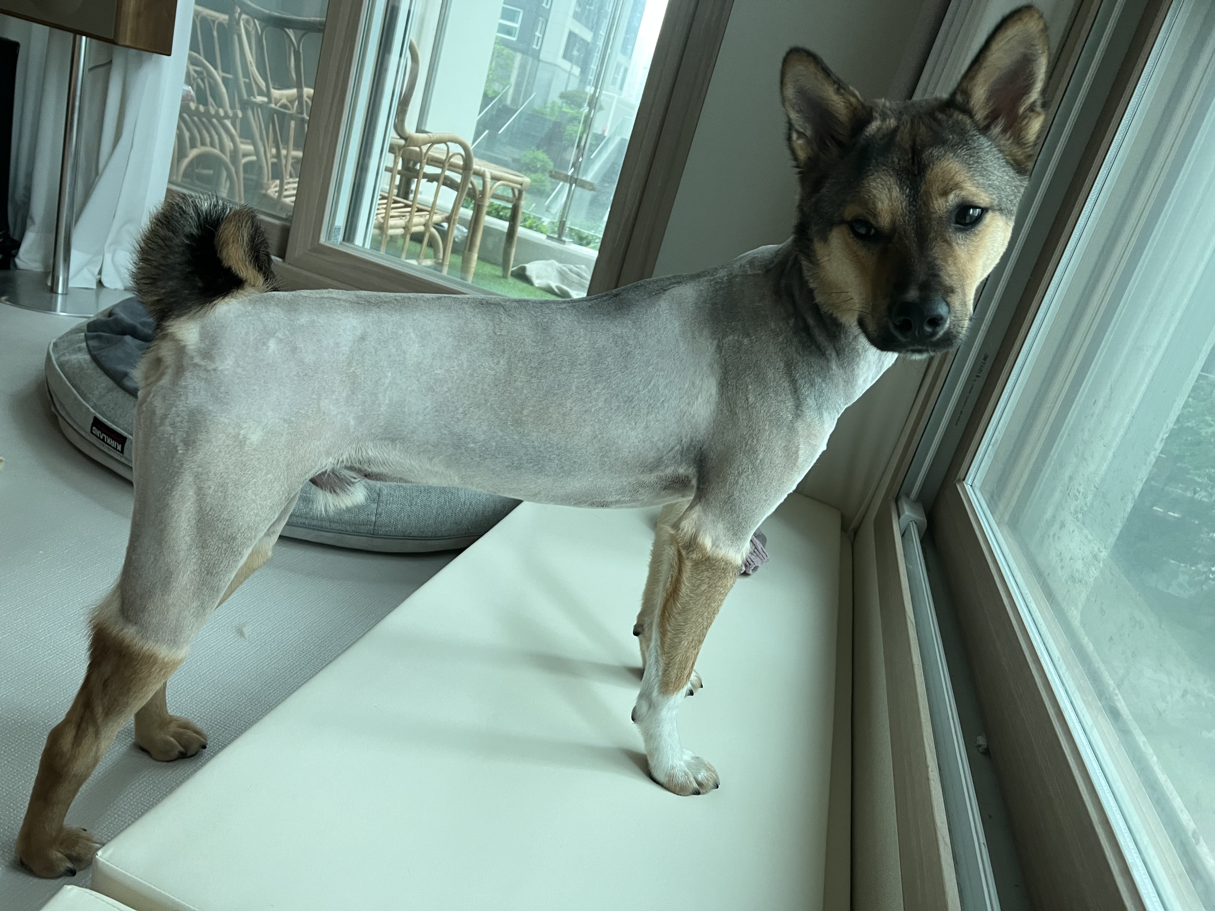 (구,강식) 테오의 일년 가족일기