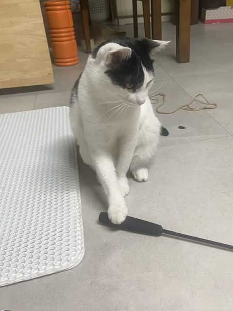 은하(늘찬)와의 3개월 동거 후기