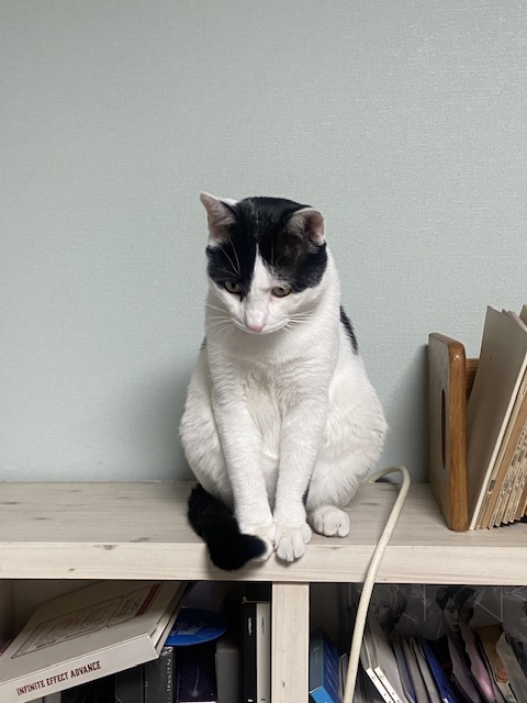 은하(늘찬)와의 3개월 동거 후기