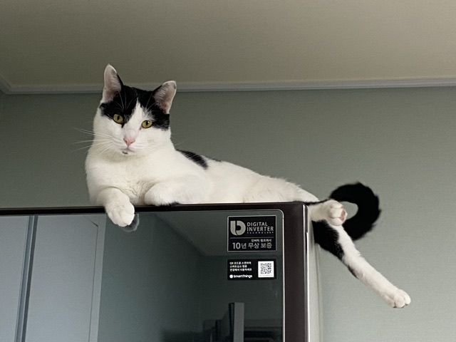 은하(늘찬)와의 3개월 동거 후기