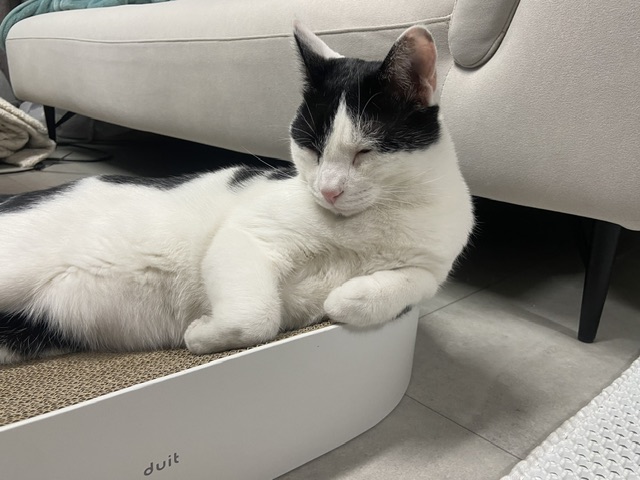 은하(늘찬)와의 3개월 동거 후기