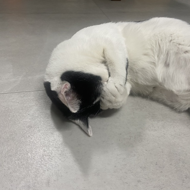 은하(늘찬)와의 3개월 동거 후기