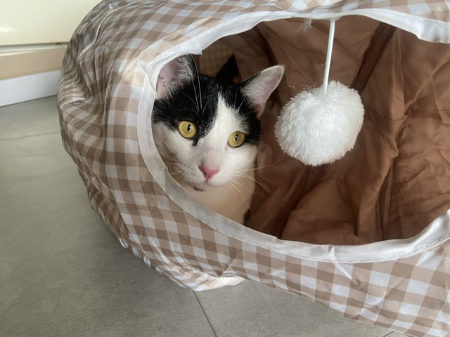 은하(늘찬)와의 3개월 동거 후기