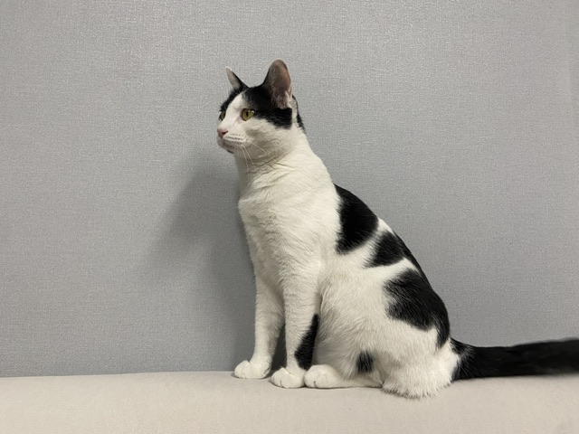 은하(늘찬)와의 3개월 동거 후기