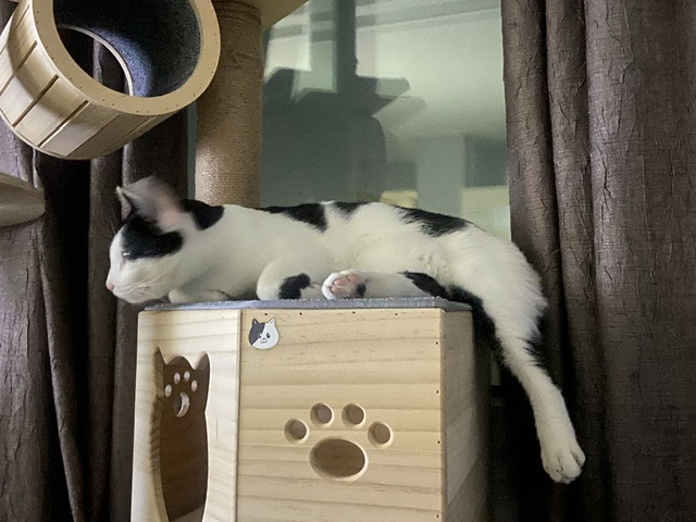 은하(늘찬)와의 3개월 동거 후기