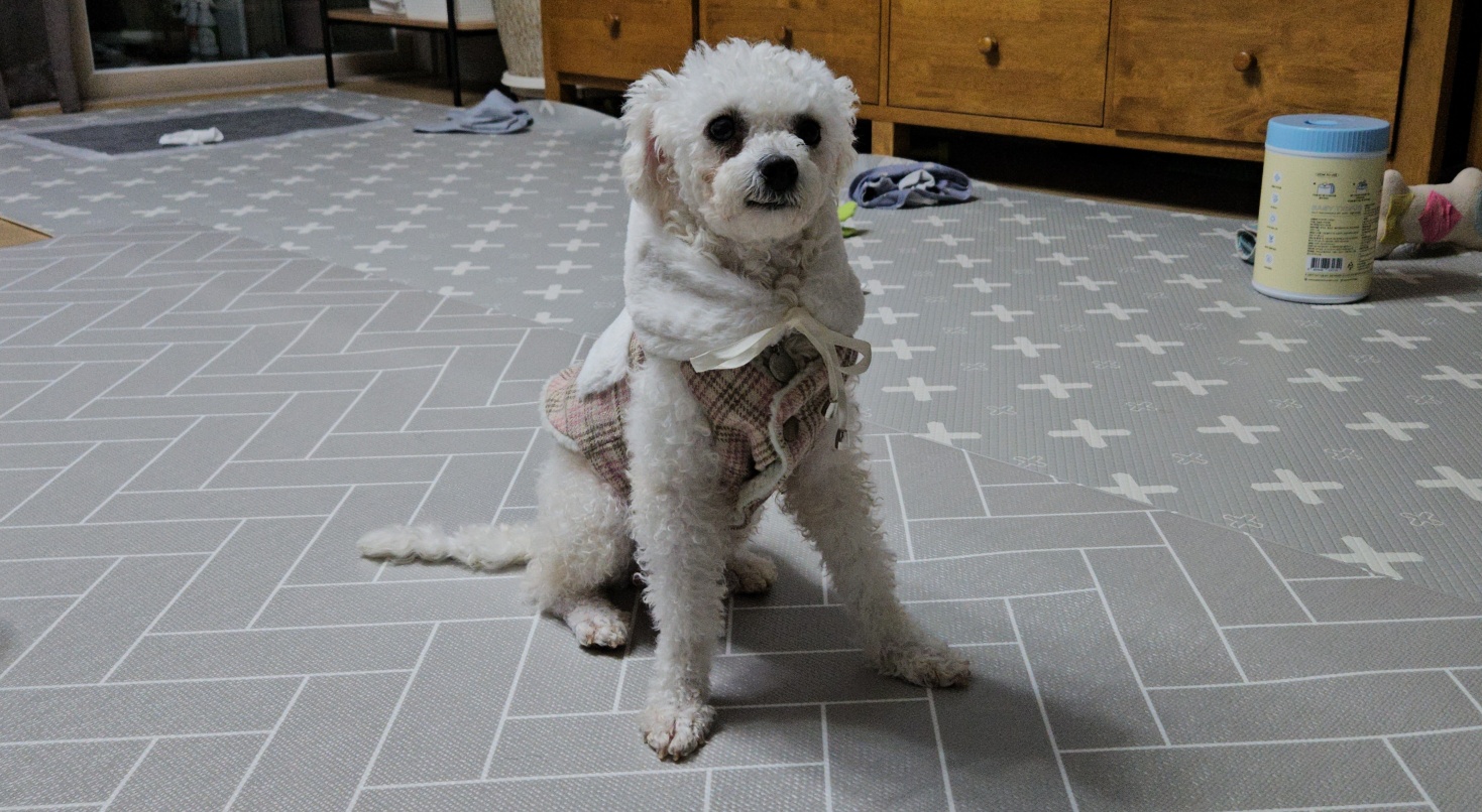 루아(양양이) 아빠입니다. 감사 인사드립니다. 