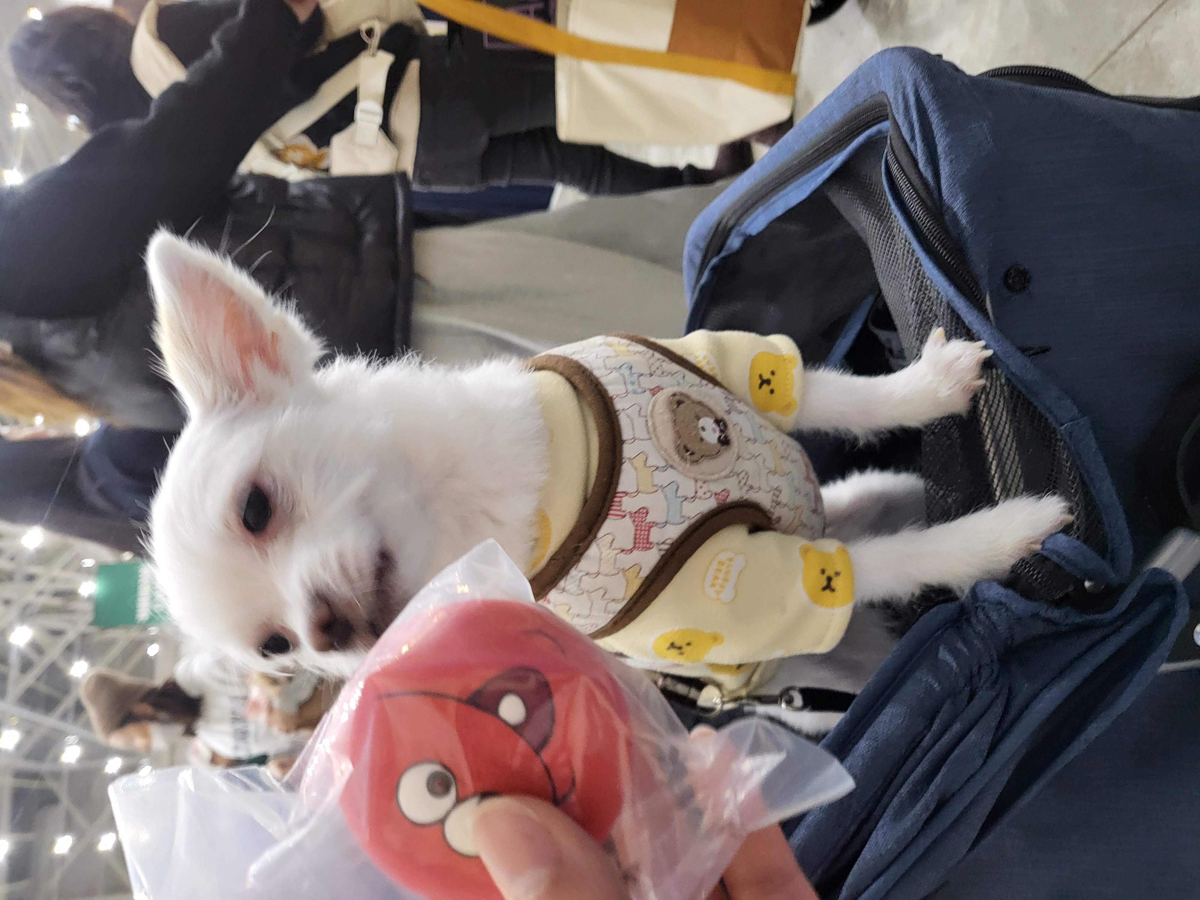 아산 오투(현 설희) 근황올려요^^