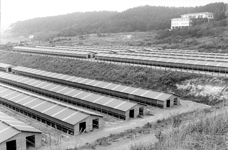 모피관리사진(2)