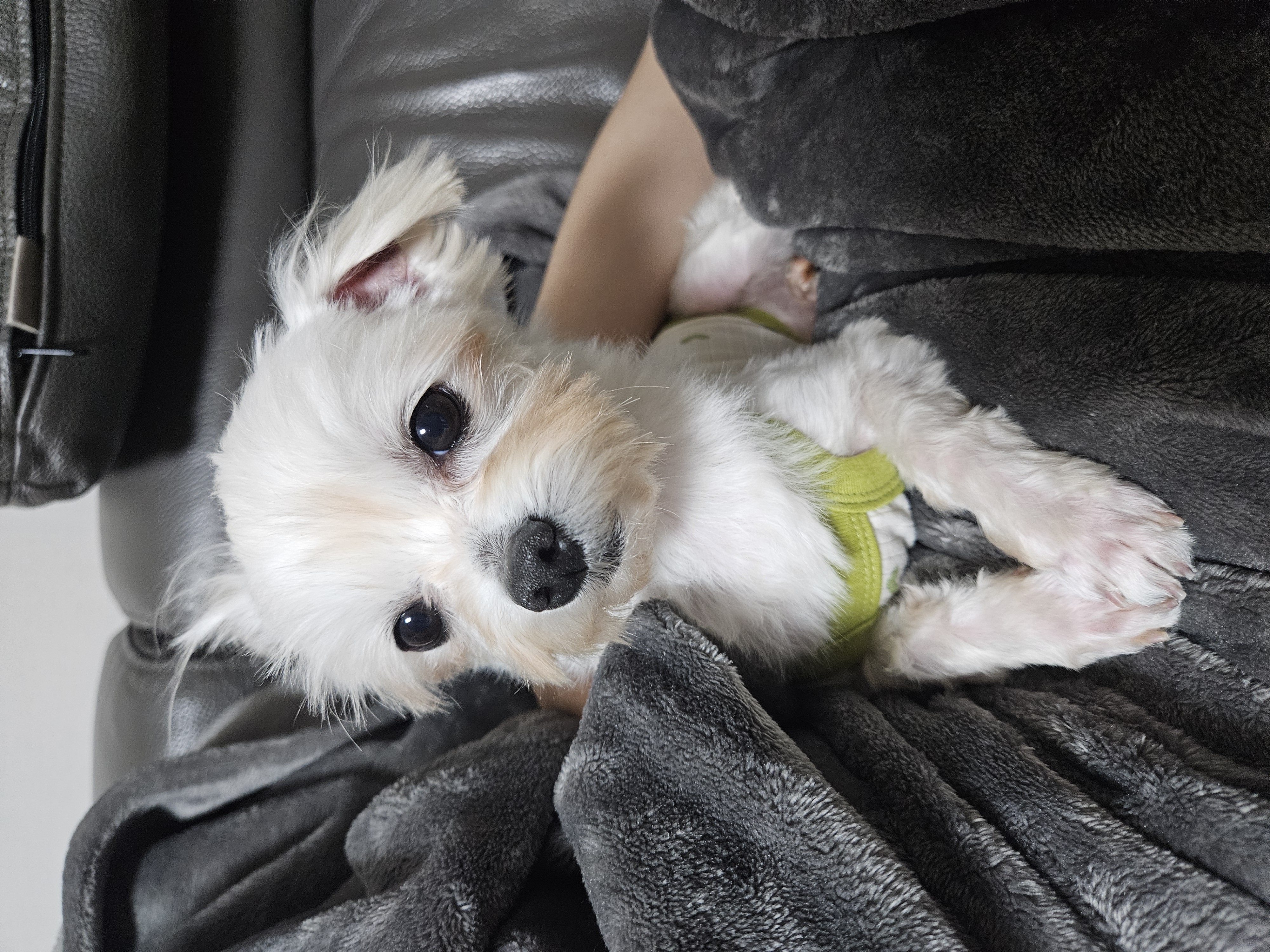 연두 (전 이름 다미) 의 일주일 후기입니다!!