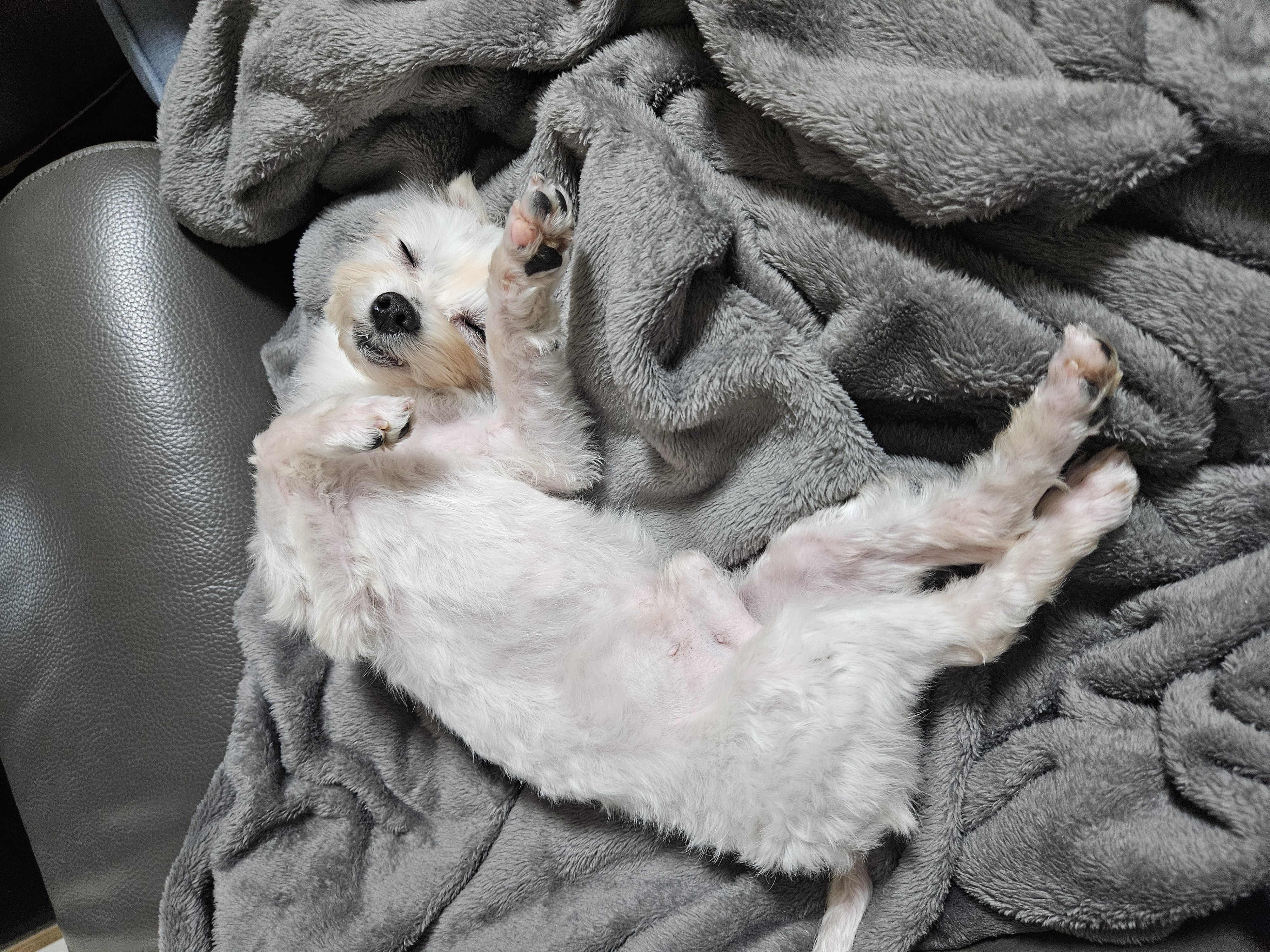 연두 (전 이름 다미) 의 일주일 후기입니다!!