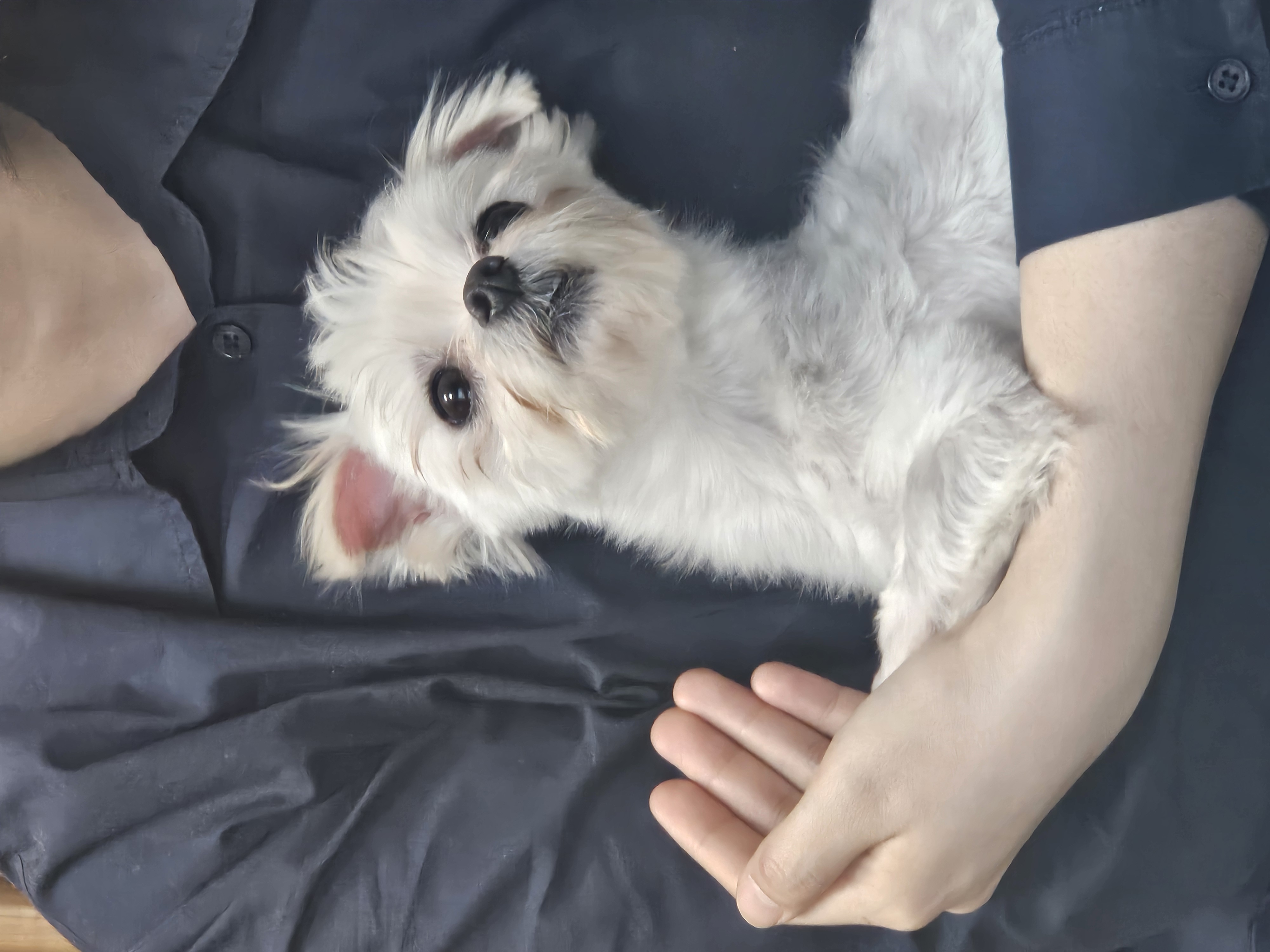 연두 (전 이름 다미) 의 일주일 후기입니다!!