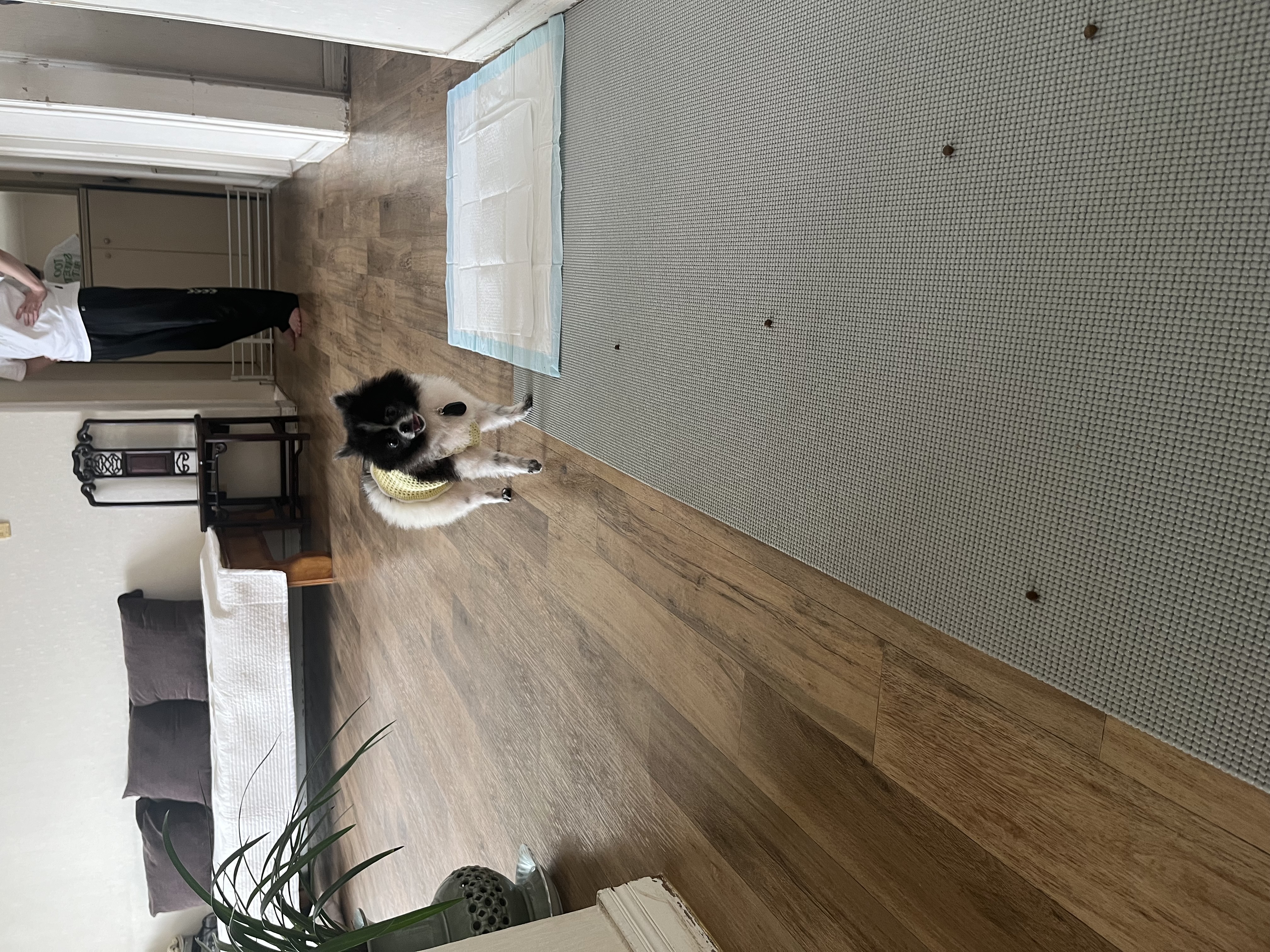 보령번식장 퐁퐁이예요~