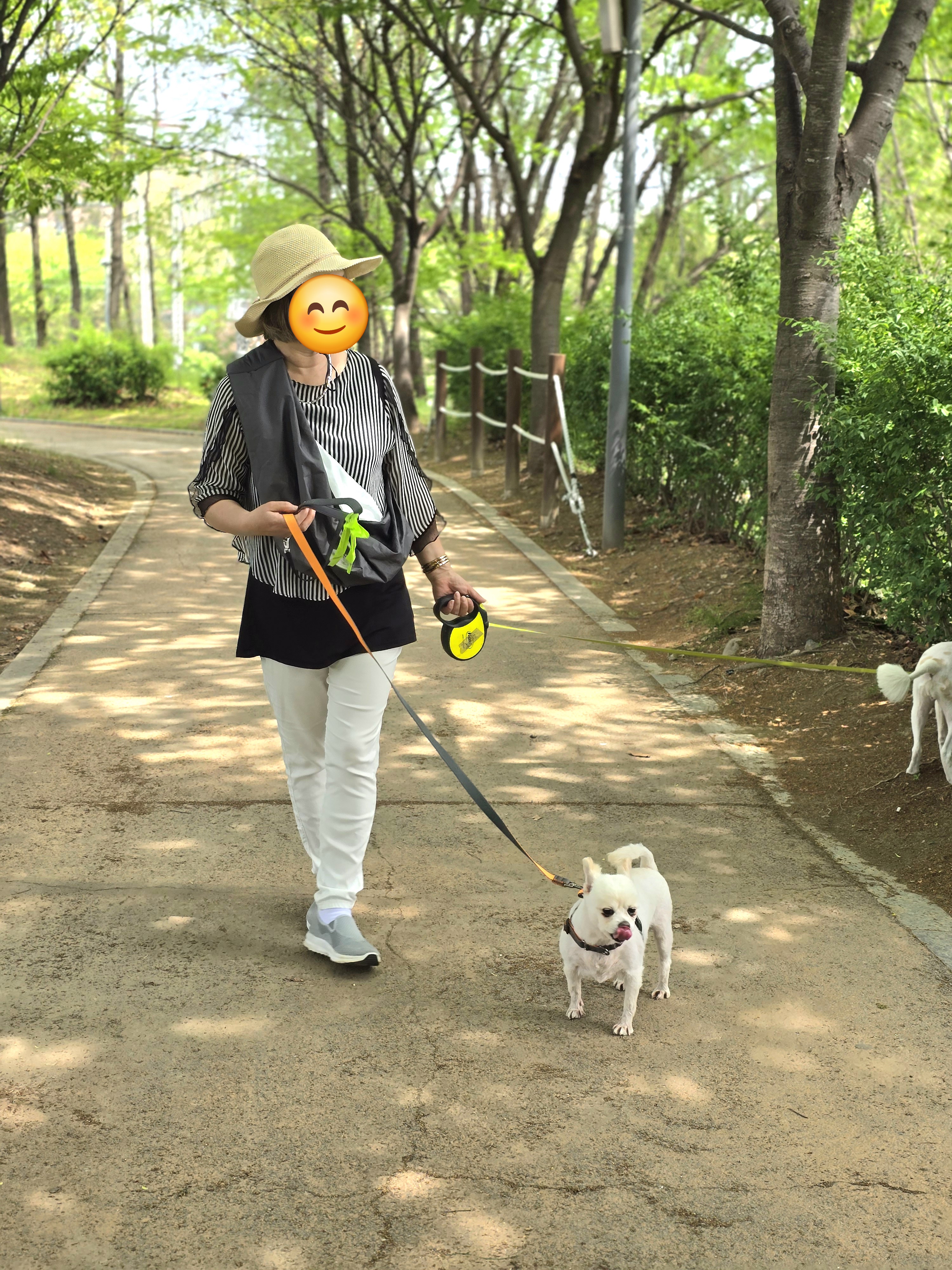 하뽀 임시보호 일주일째 그간의 사진들입니다