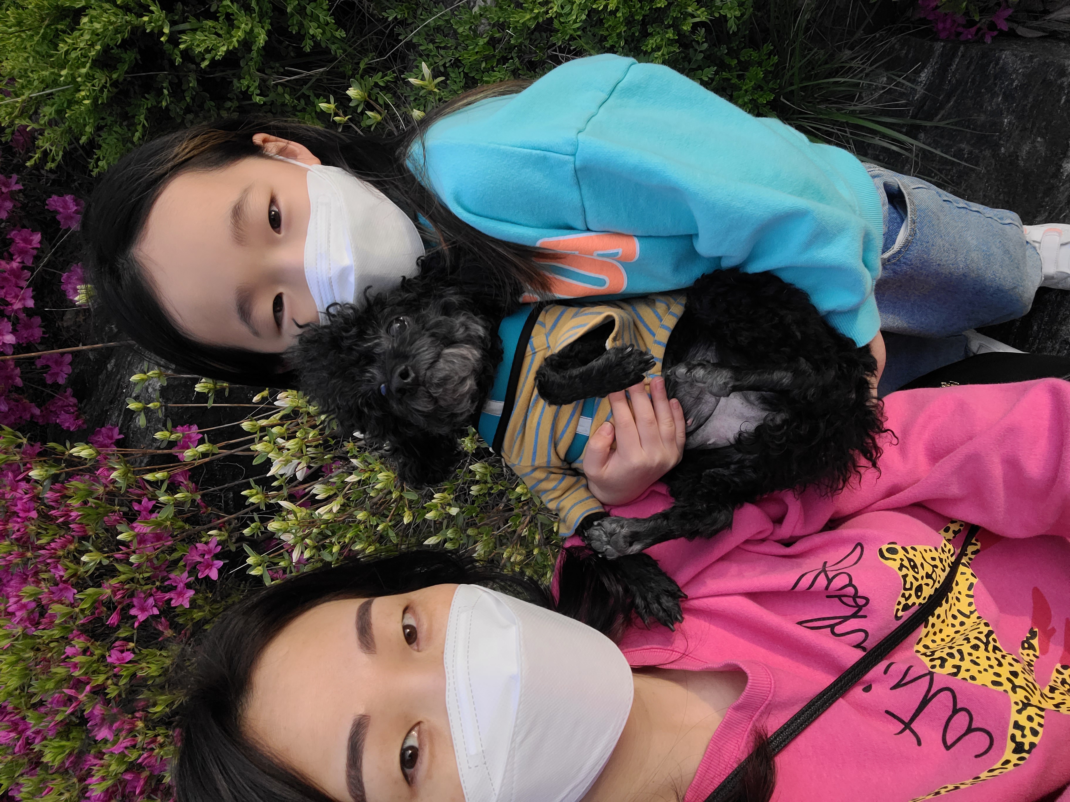 콩이.(뽀송이)생활