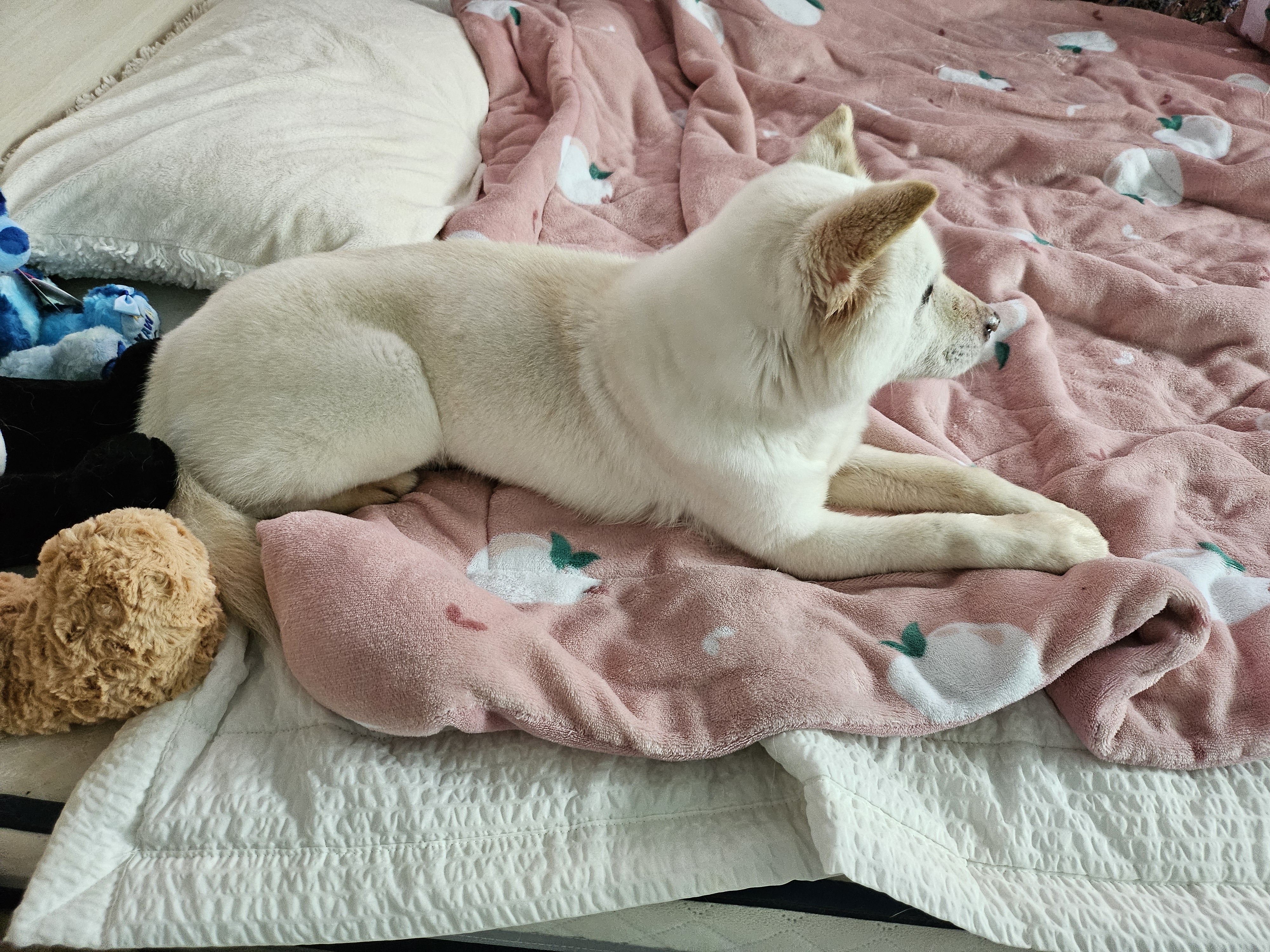 소리 임보 1주차 이야기