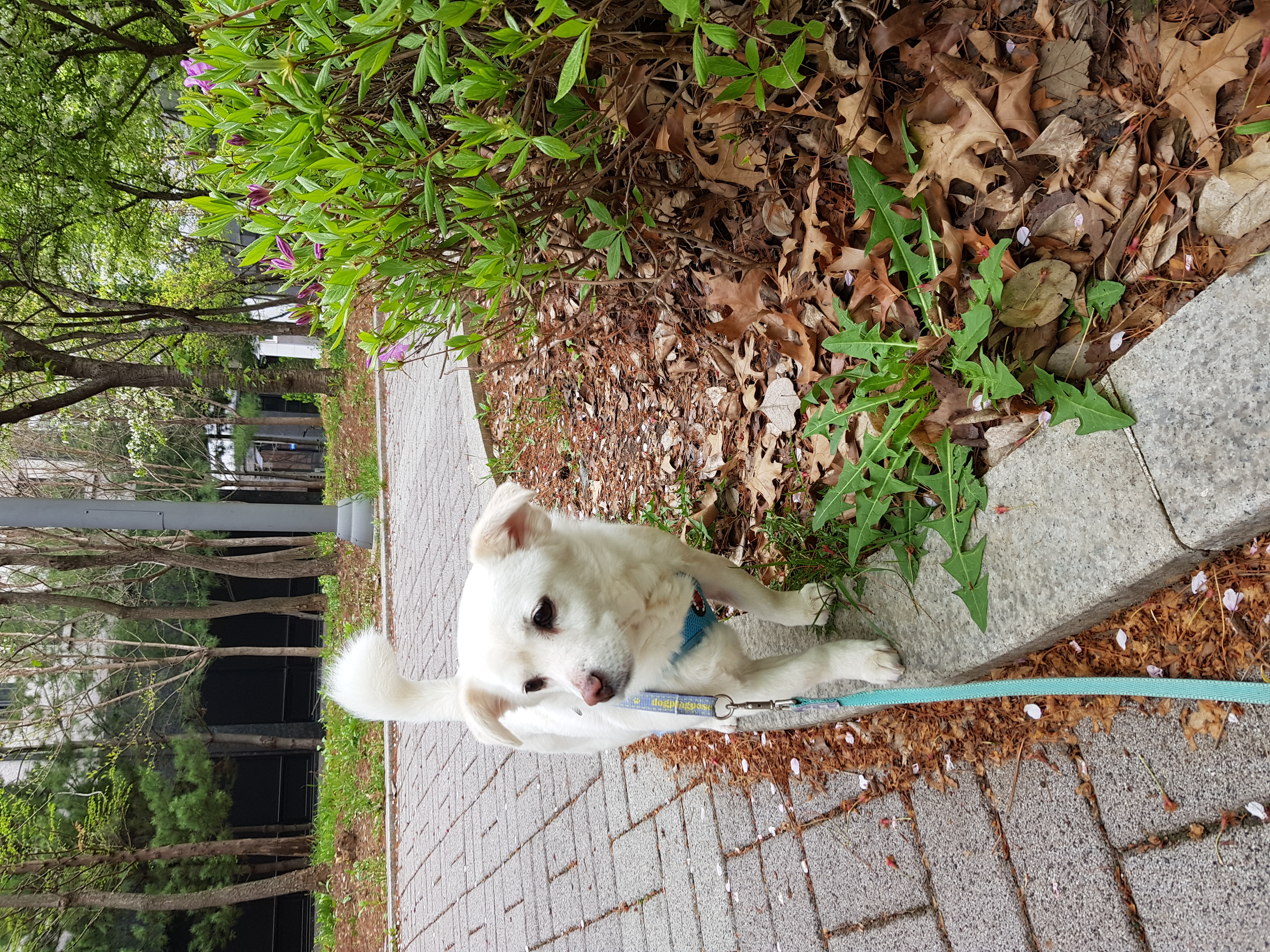 흰자 잘 지내요